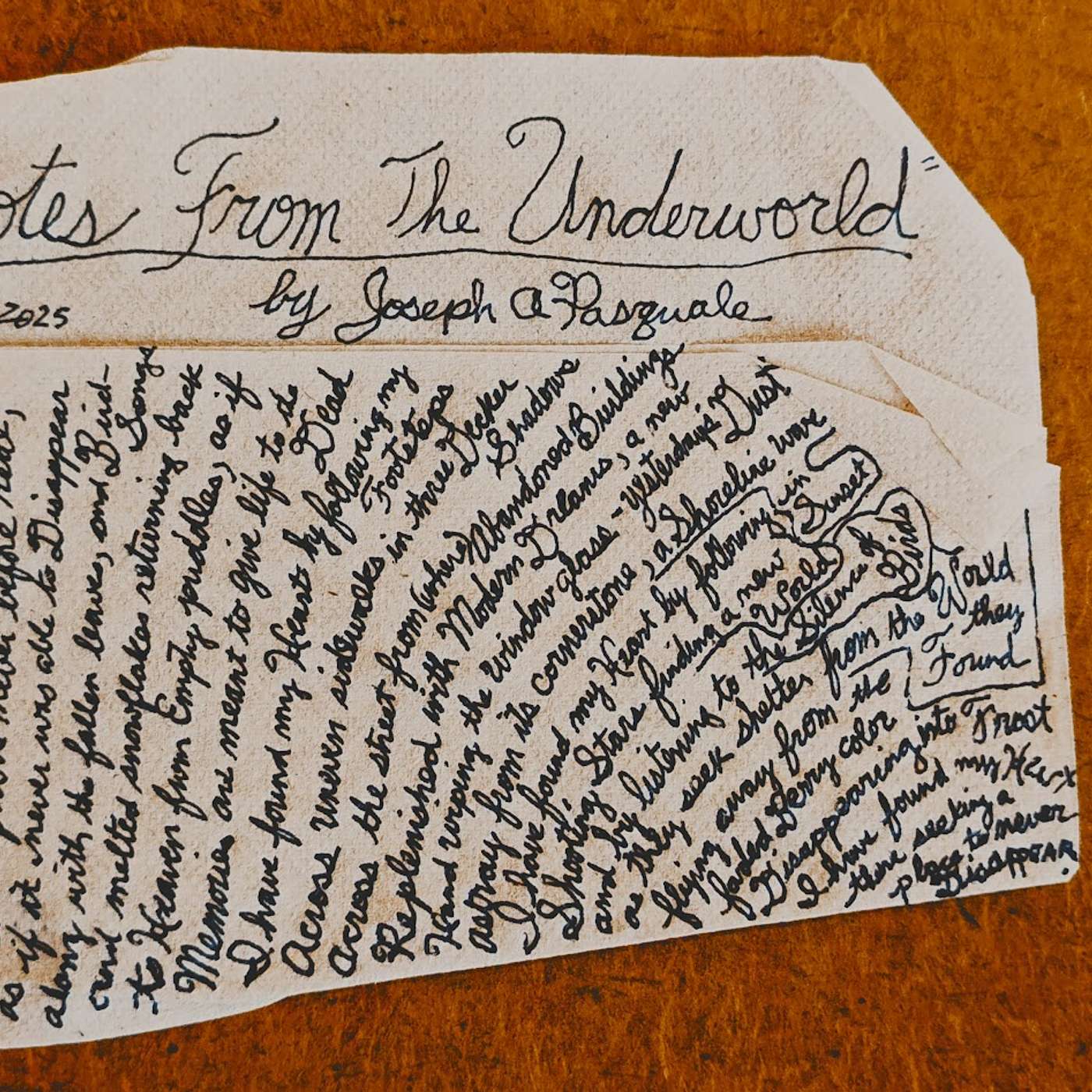 "Seeking a Place where It never Disappears" original poem written and read by Joe Pasquale 12-17-2025 episode artwork