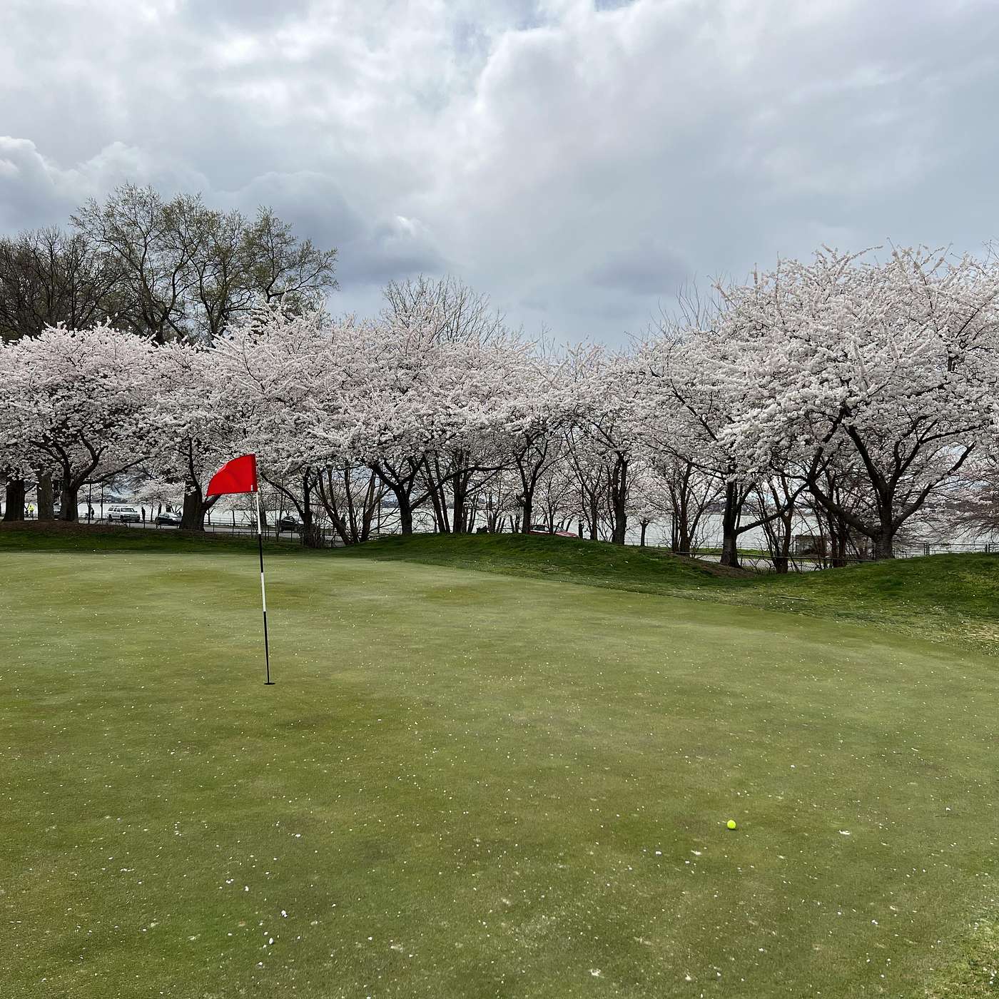 DC Golf Course Restoration Threatens Affordable Access