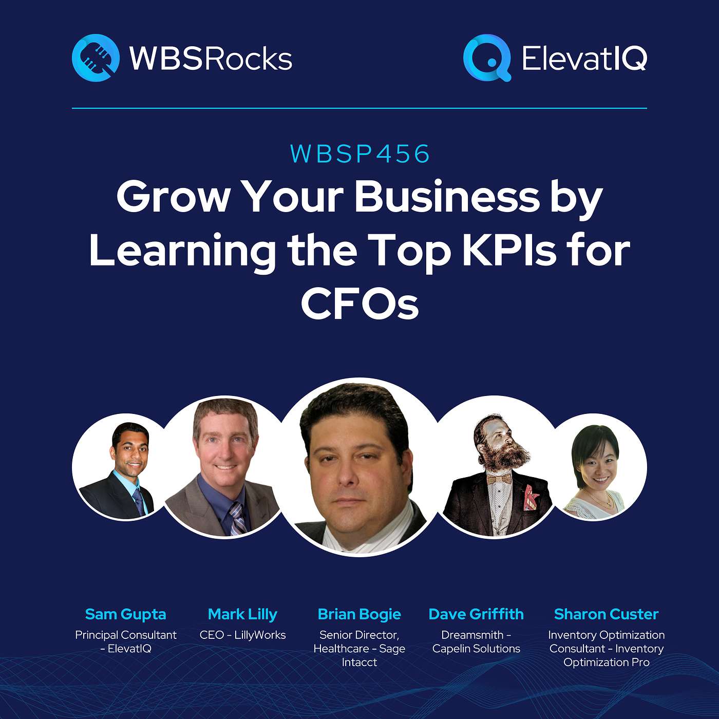 WBSP456: Grow Your Business by Learning the Top KPIs for CFOs, a Live Interview w/ a Panel of Experts