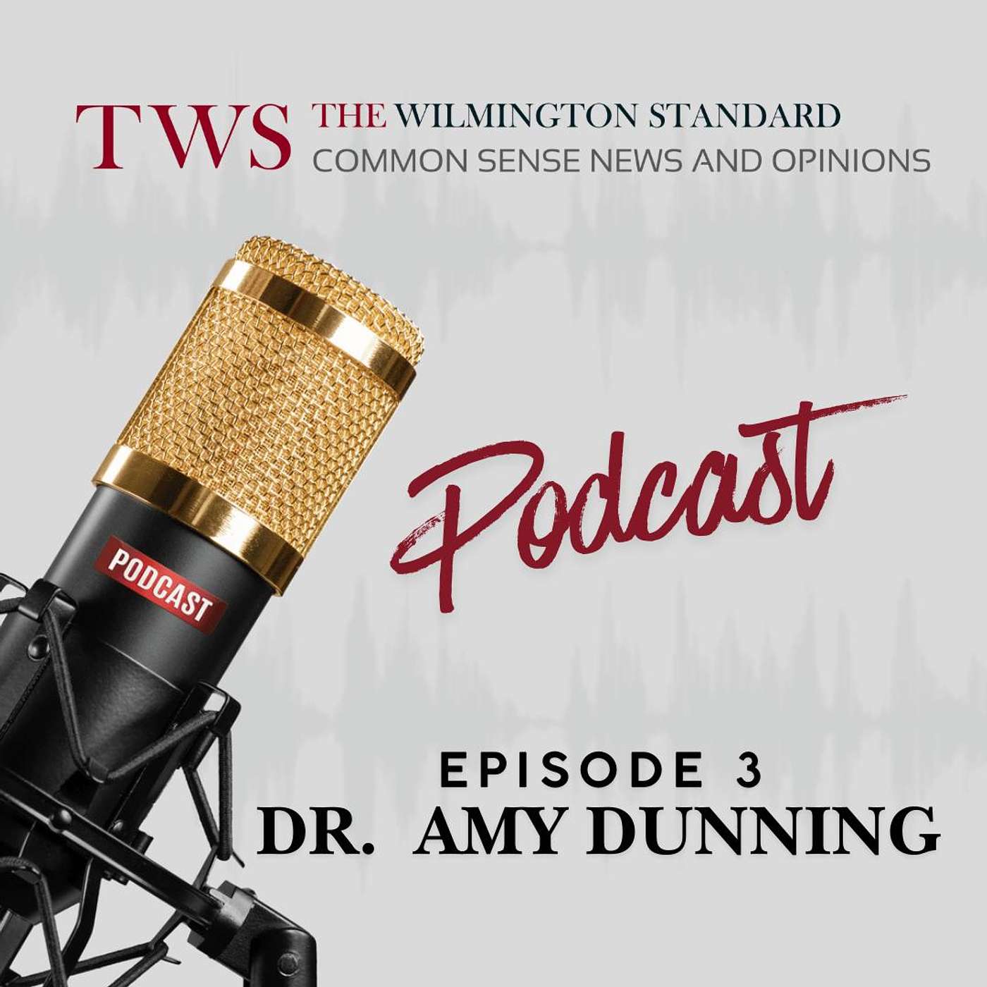Conversation with Dr. Amy Dunning - Candidate for NHC Board of Education episode artwork