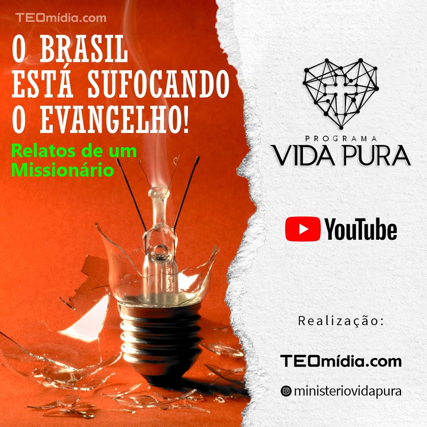 Vida Pura