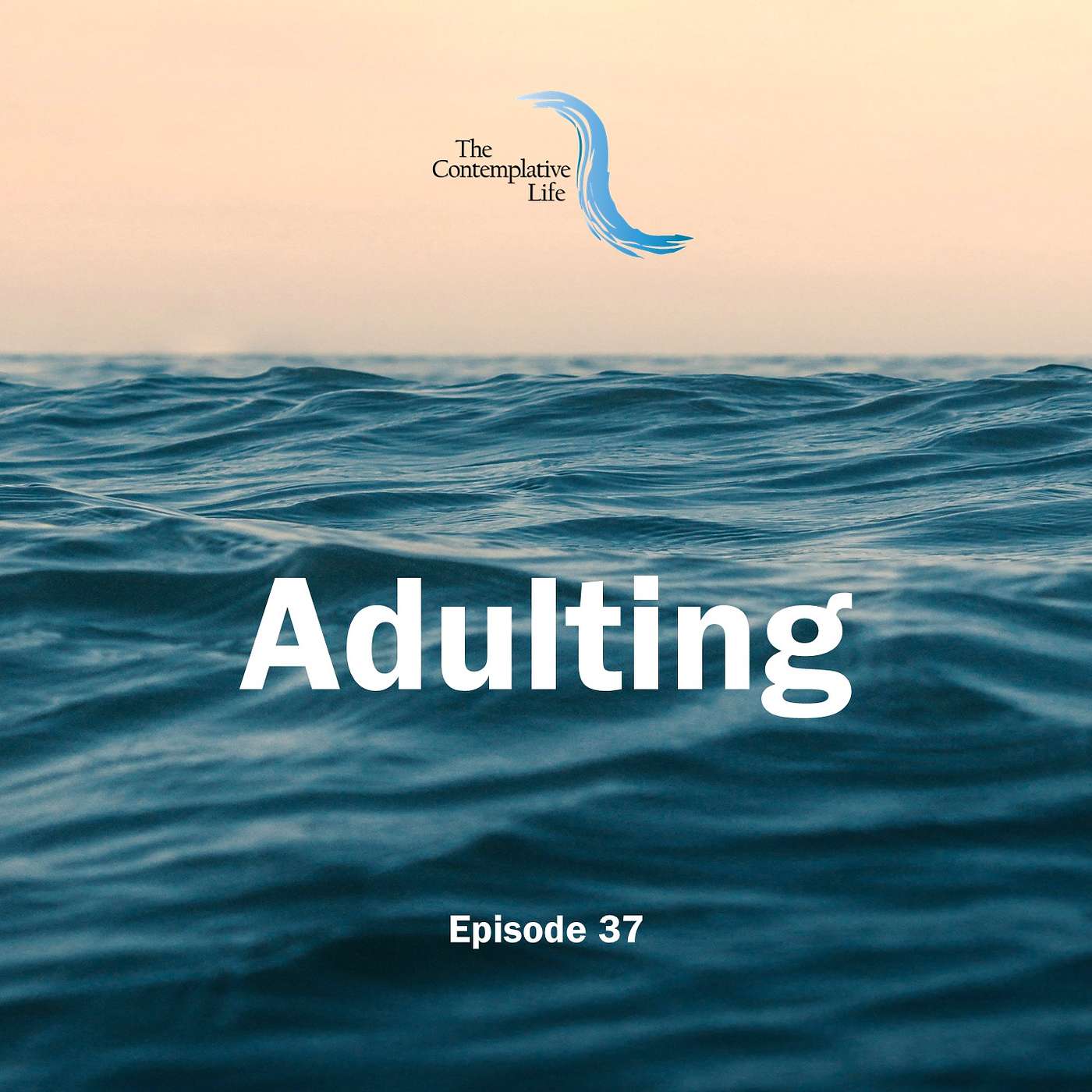 Ep 37 Adulting