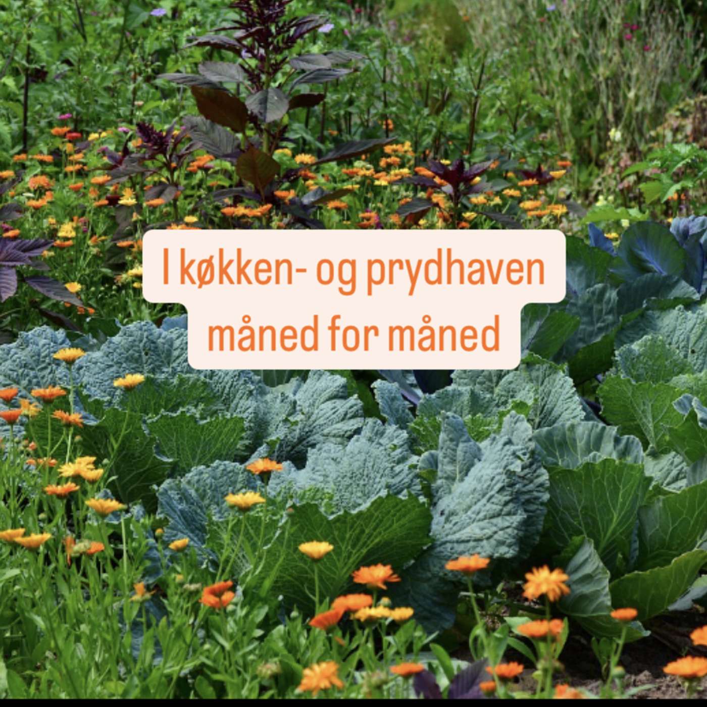 I køkken- og prydhaven måned for måned Artwork