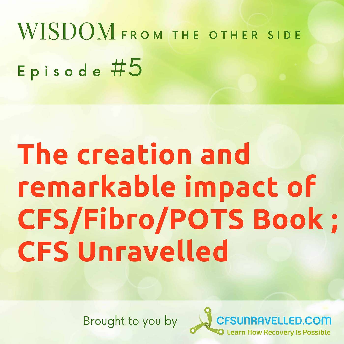 Wisdom From The Other Side Of Recovery from Fibromyalgia, ME, CFS, POTS & MCS