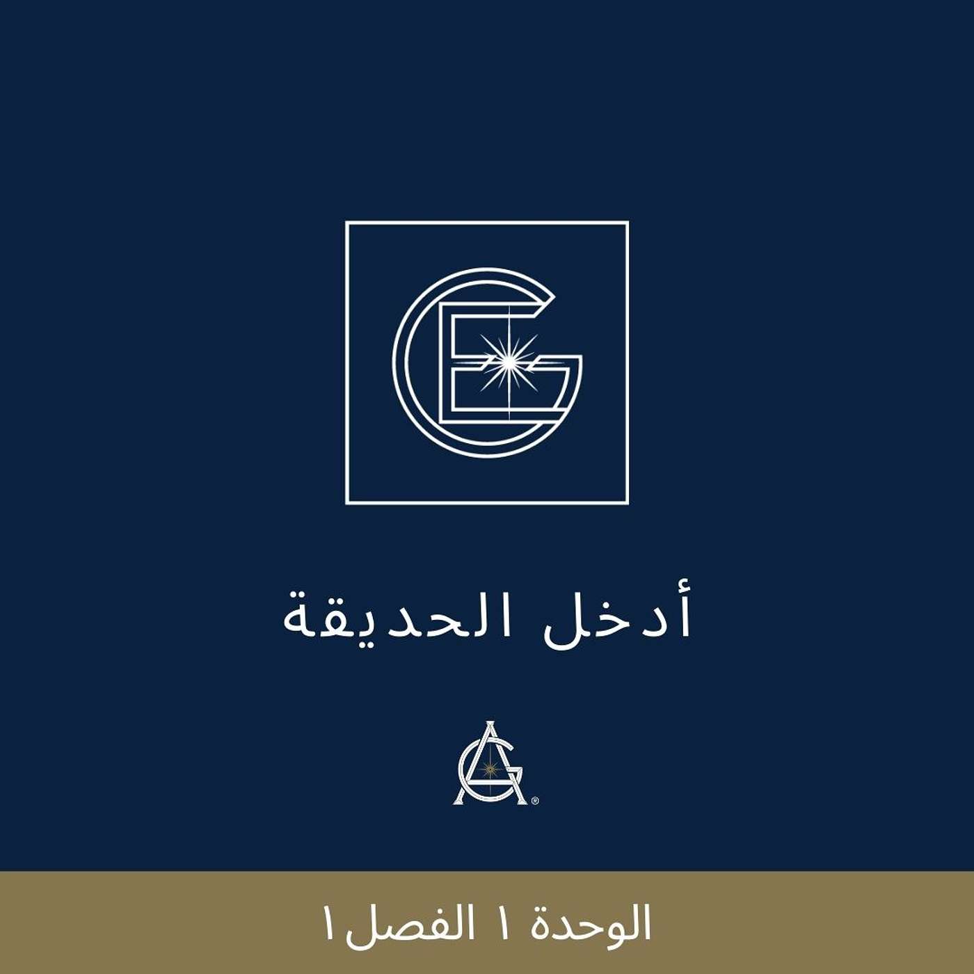 الوحدة ١ الفصل ١: المفاهيم الخاطئة والمعتقدات محدة