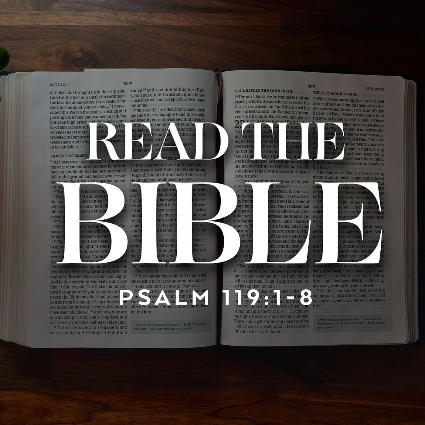 Read the Bible - Psalm 119:1-8 episode artwork