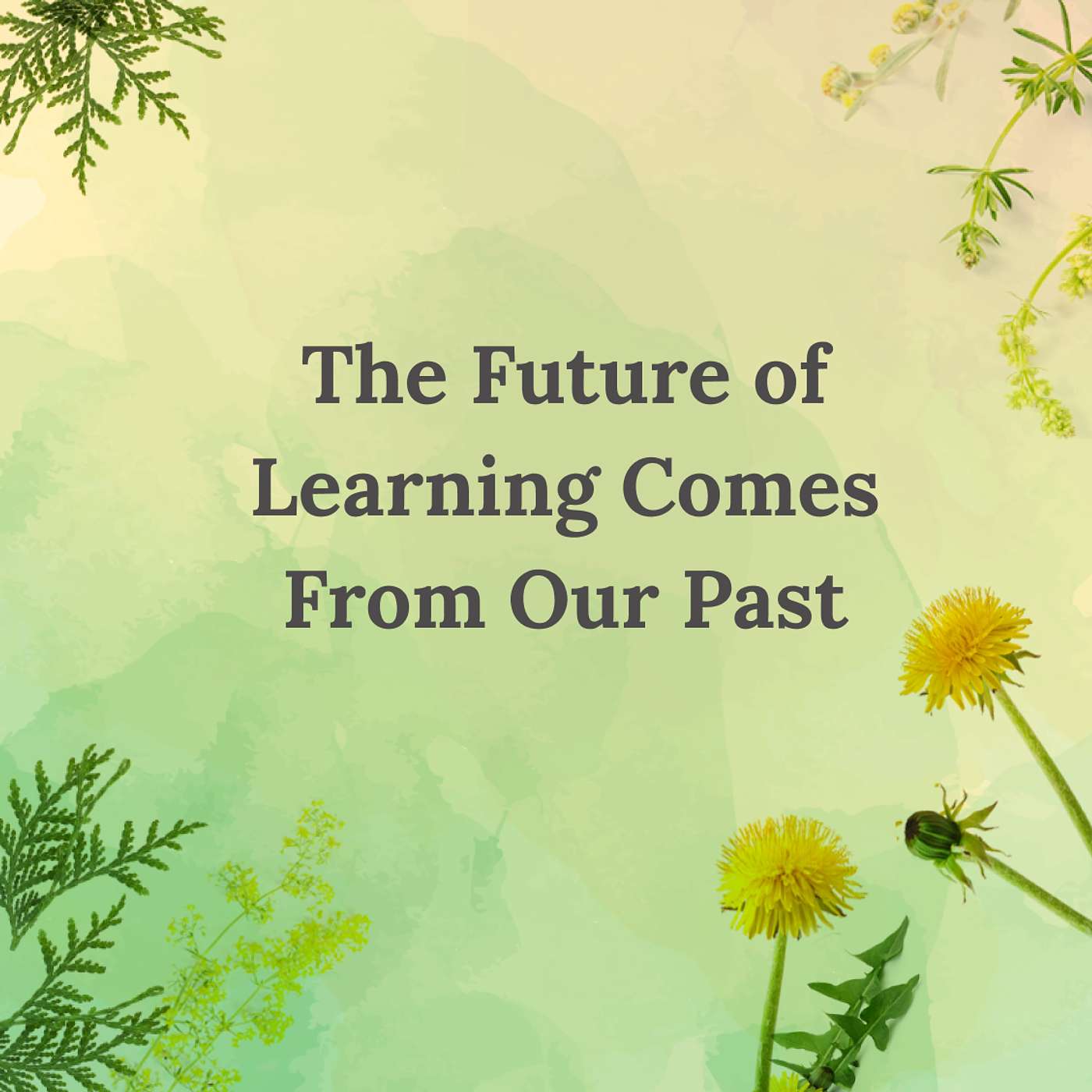 Gratitude Blooming Podcast
