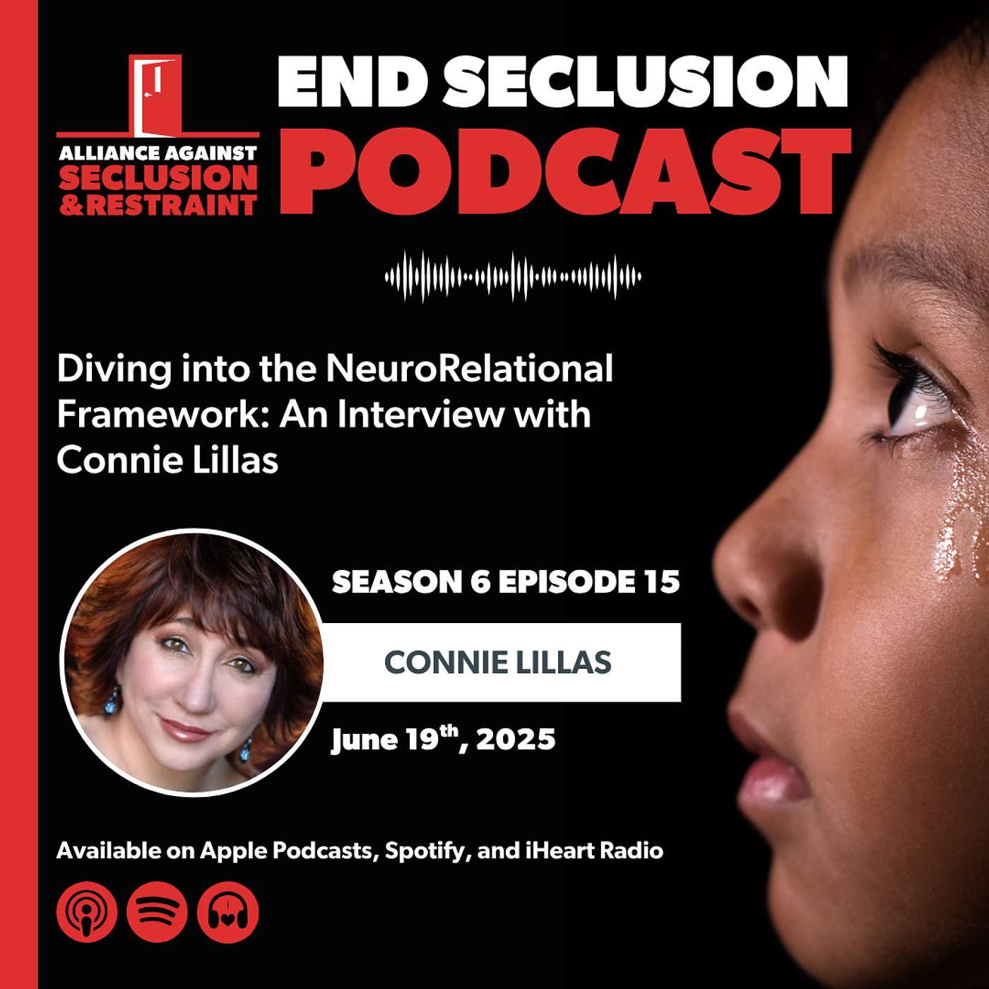 Diving into the NeuroRelational Framework: An Interview with Connie Lillas