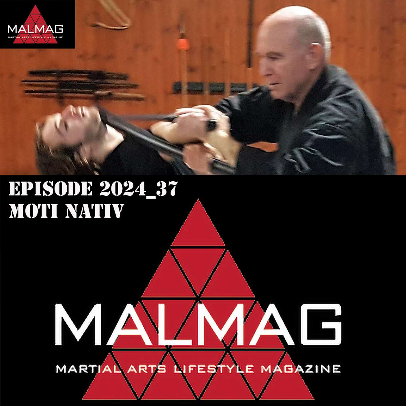 The Martial Arts Lifestyle Podcast