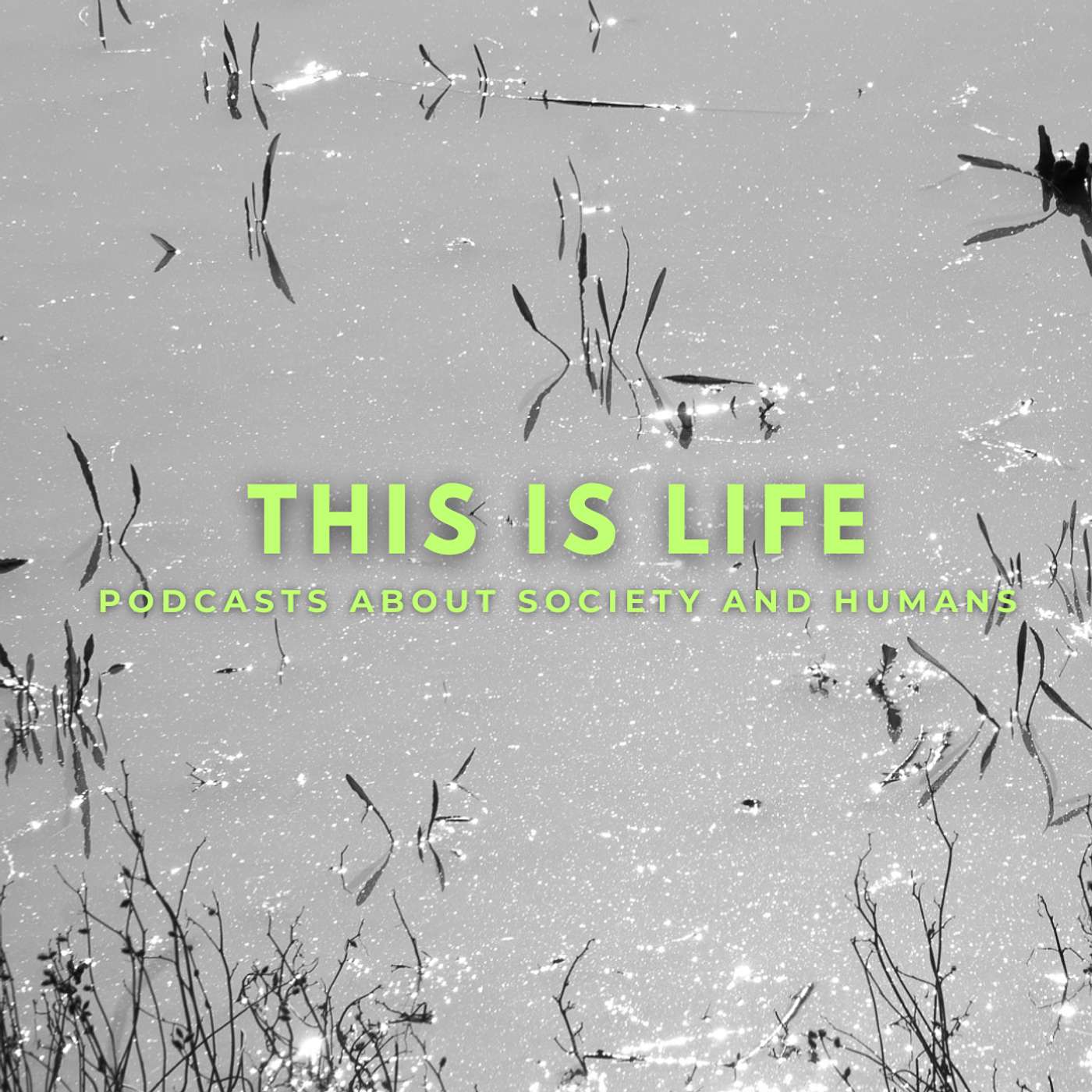 This is life