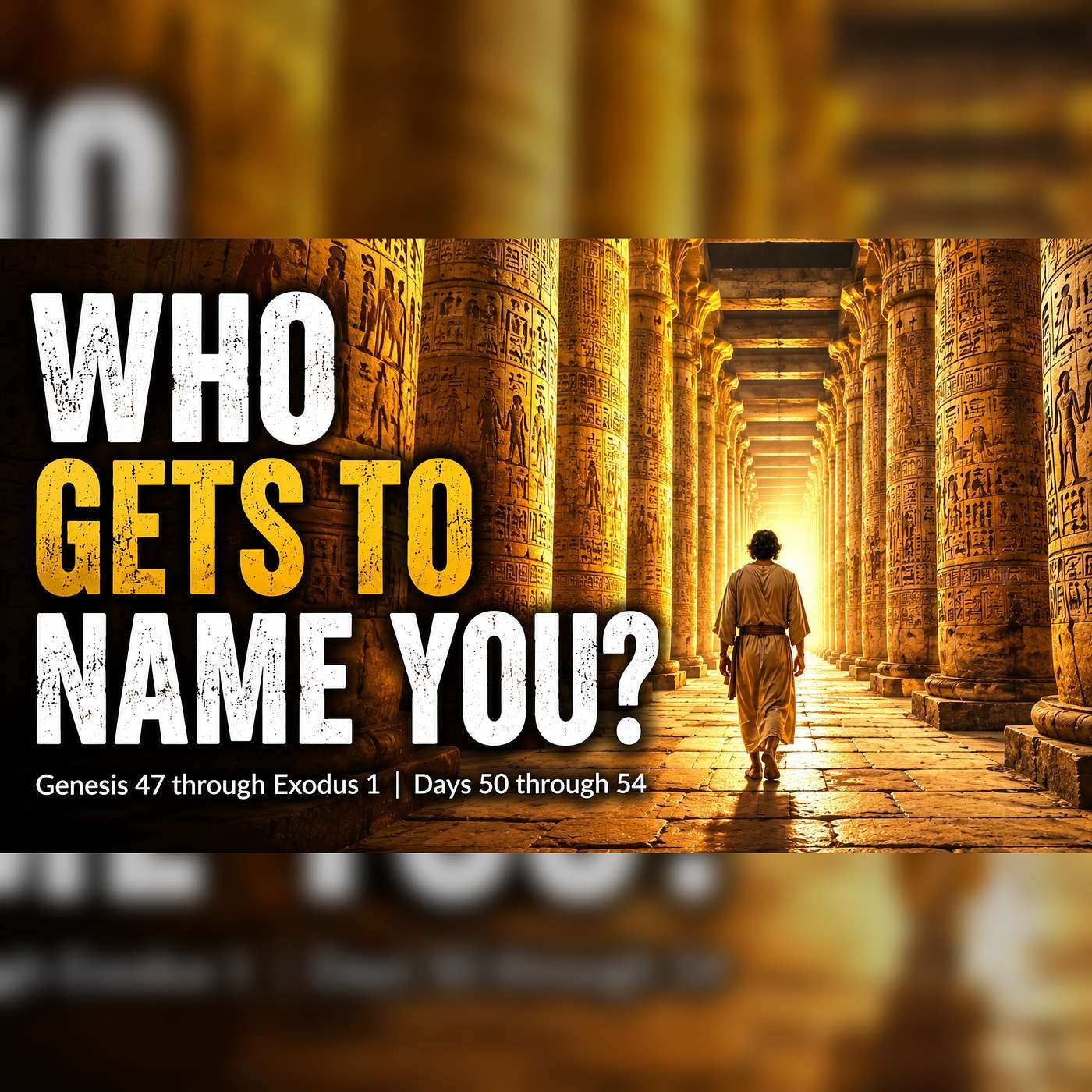 WHO GETS TO NAME YOU? episode artwork