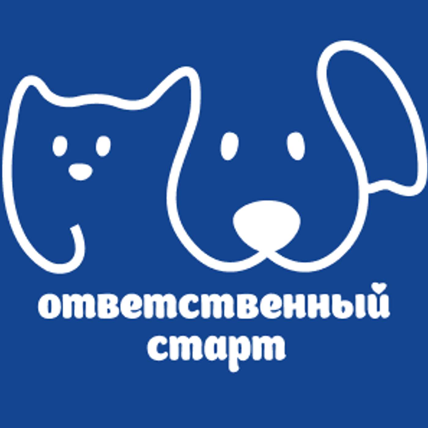 Ответственный старт