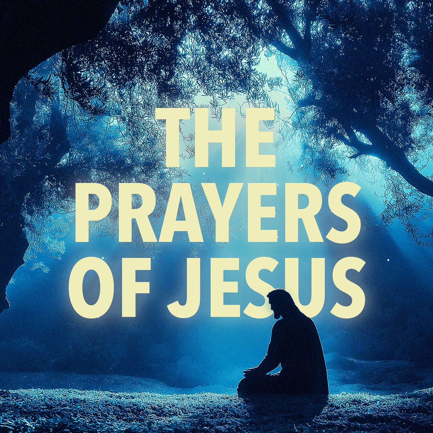 New Hope Baptist Church Podcast