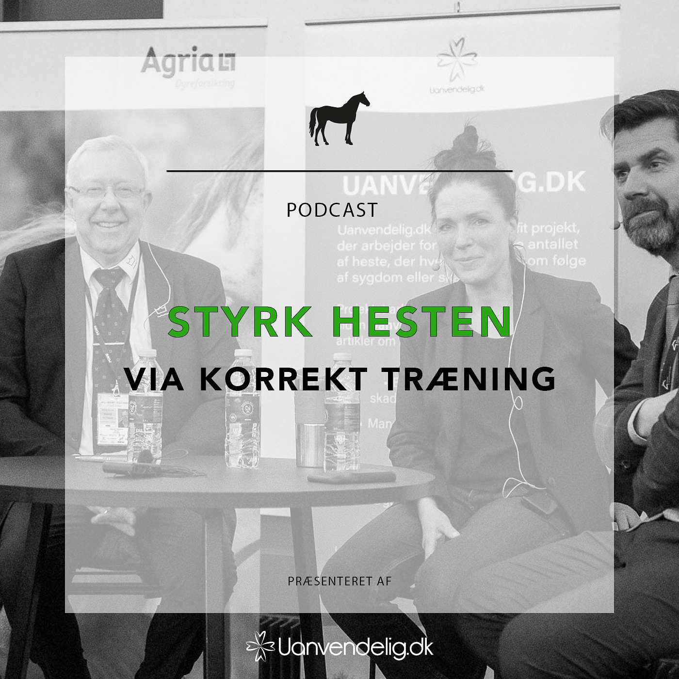 Uanvendelig eller Ridehest