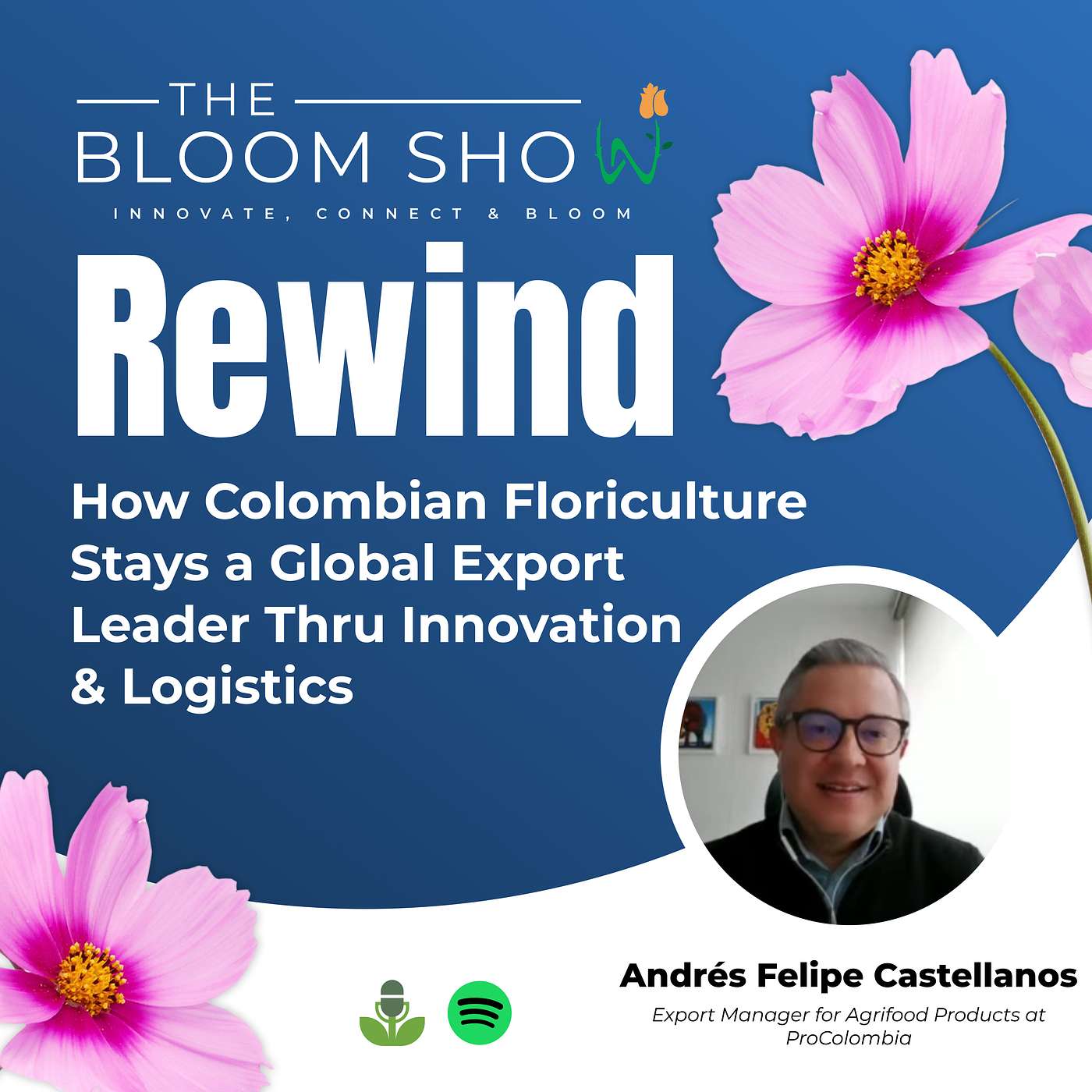 The Bloom Show
