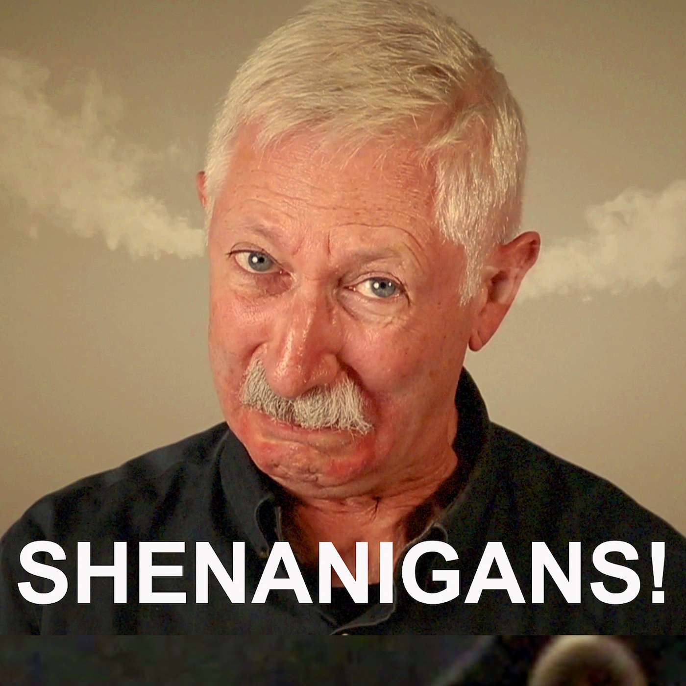 Shenanigans