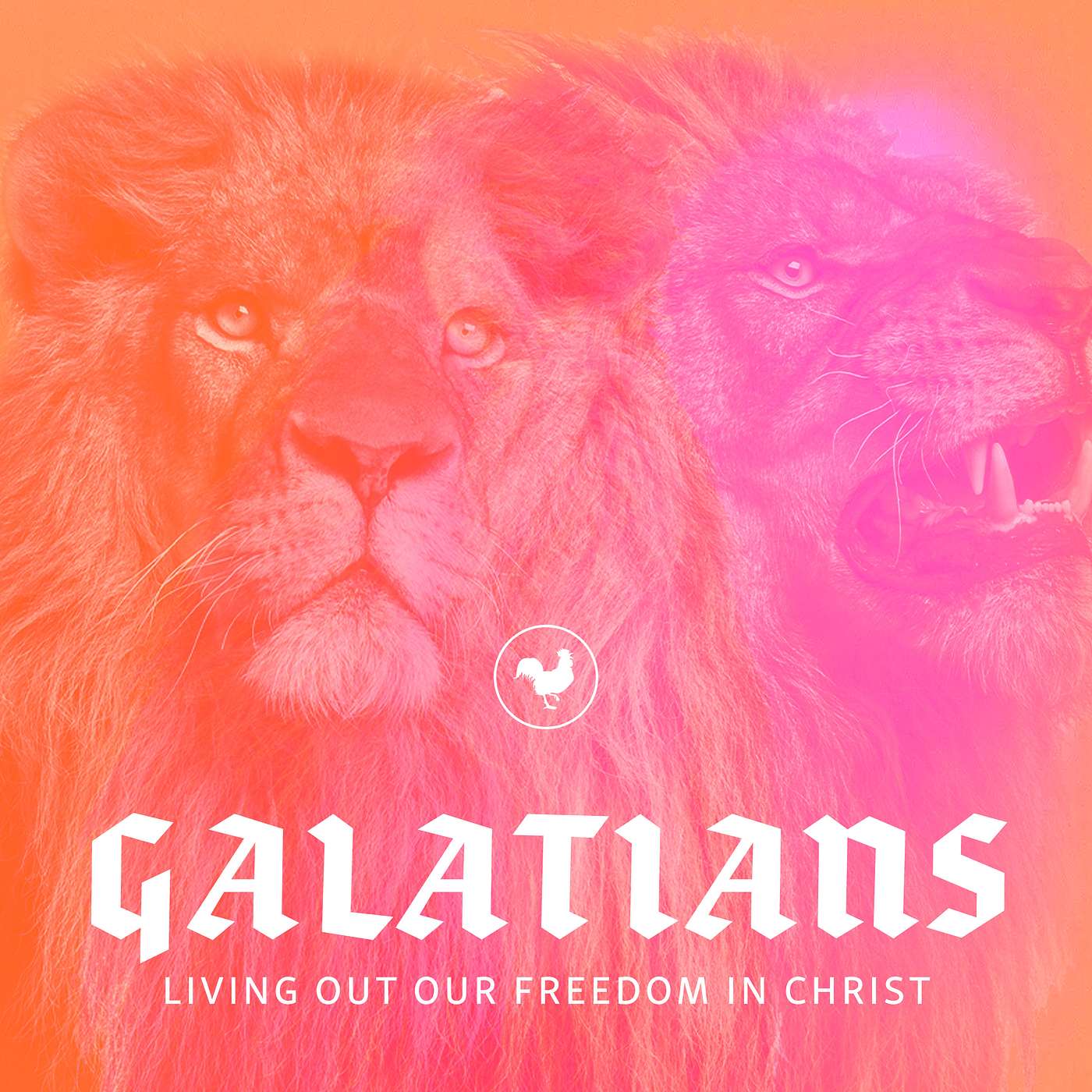 Galatians - 6:6-18