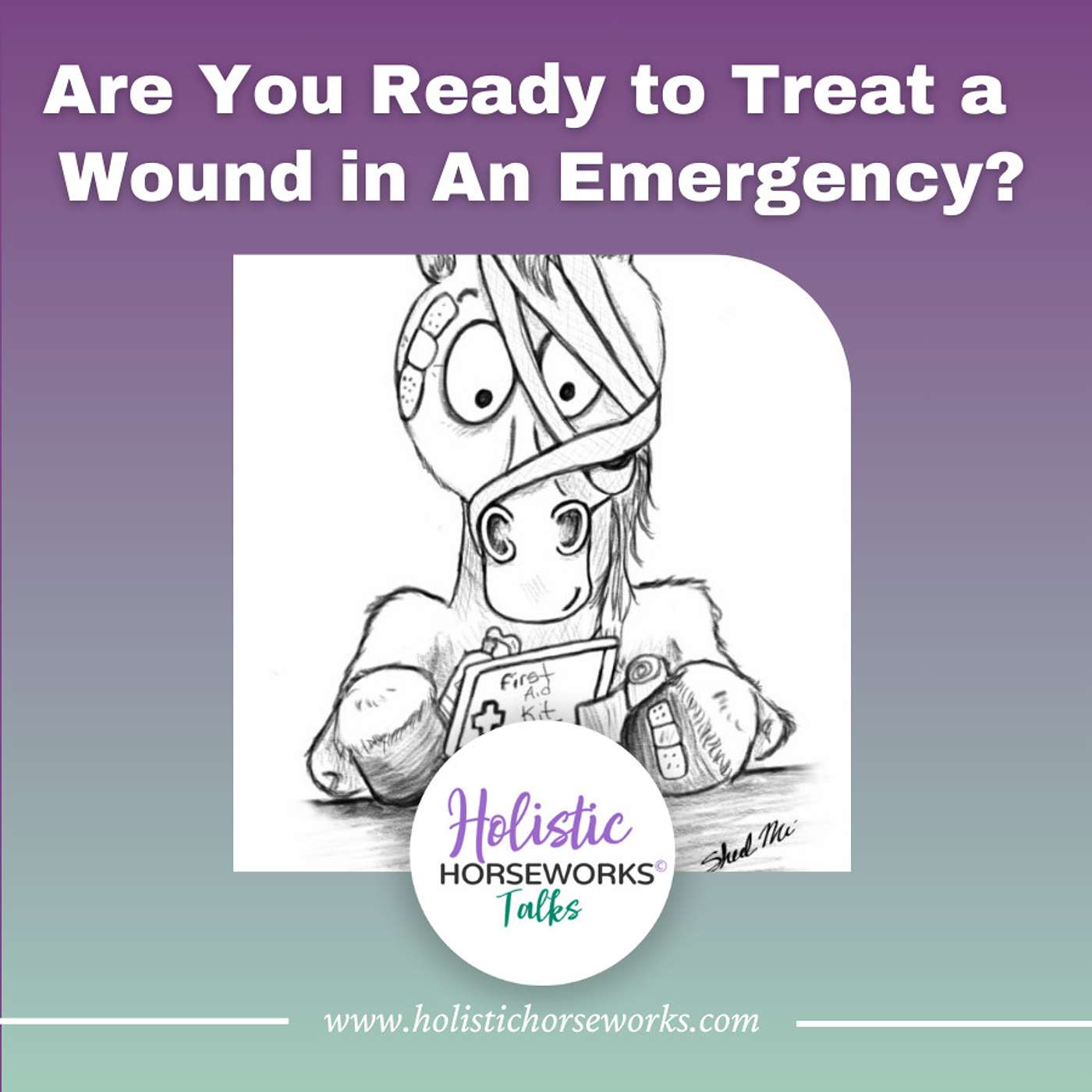 Holistic Horseworks Talks with April Love - Are You Ready to Treat a Wound in An Emergency?