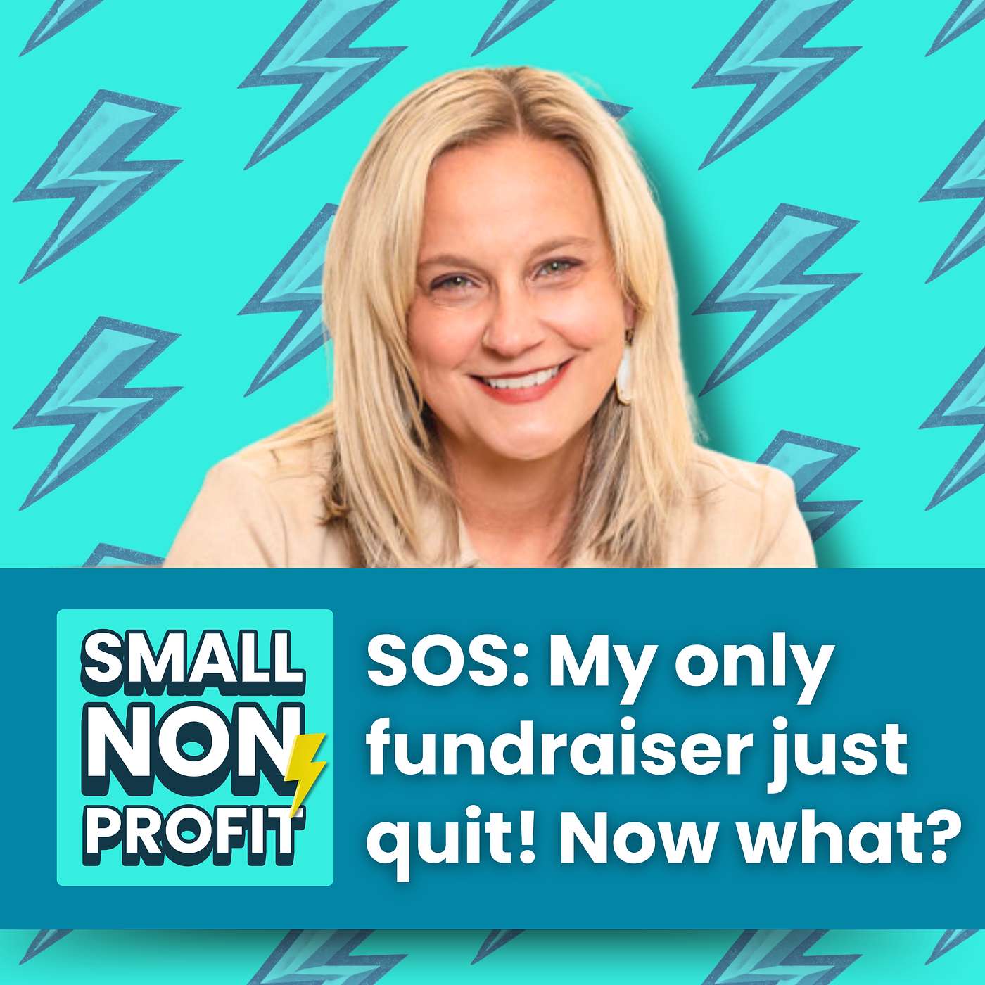 What to Do When Your Fundraiser Quits to Maintain Momentum and Find the Right Candidate episode artwork