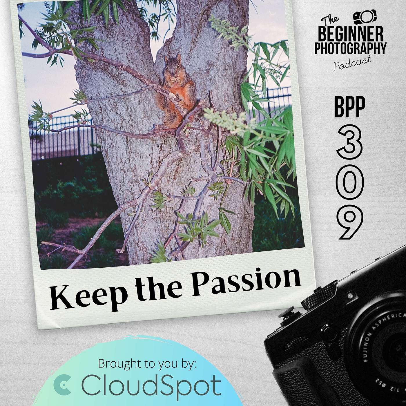 309: How to Keep Passion for Photography while Juggling a Life