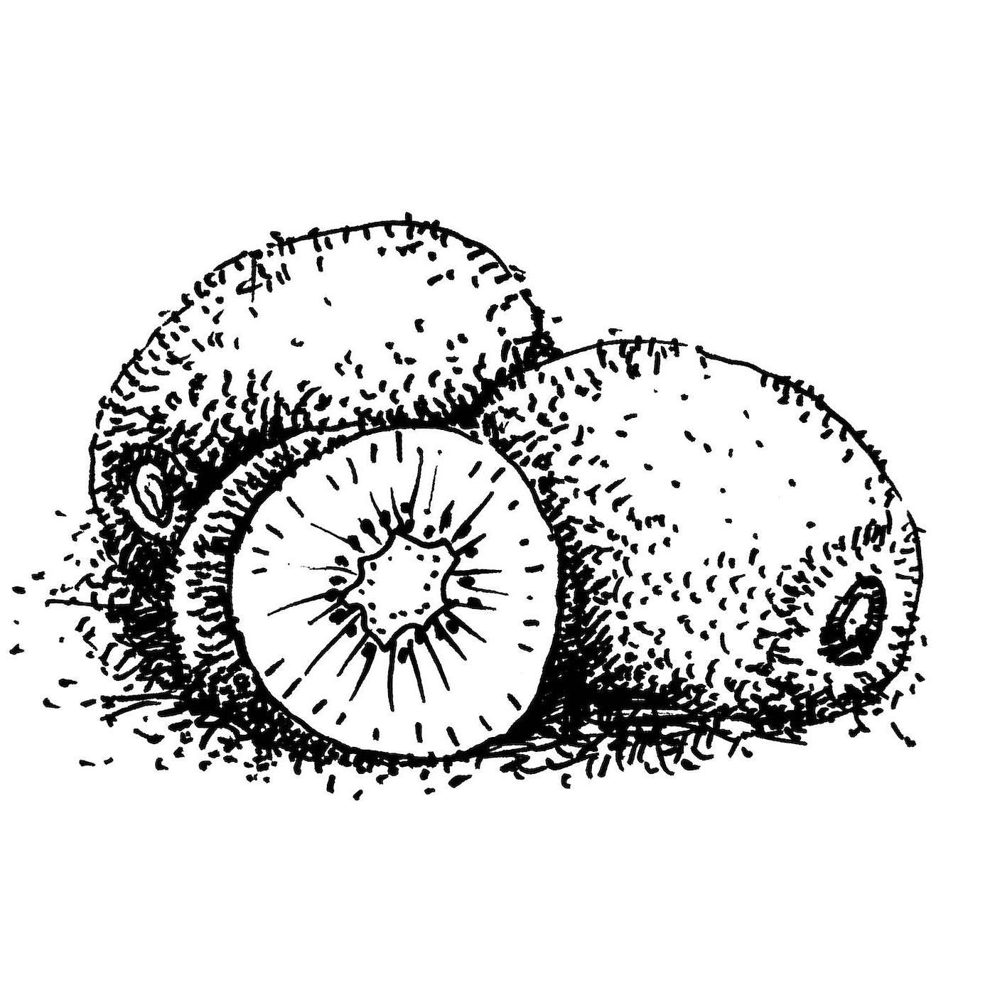 5: Smoko