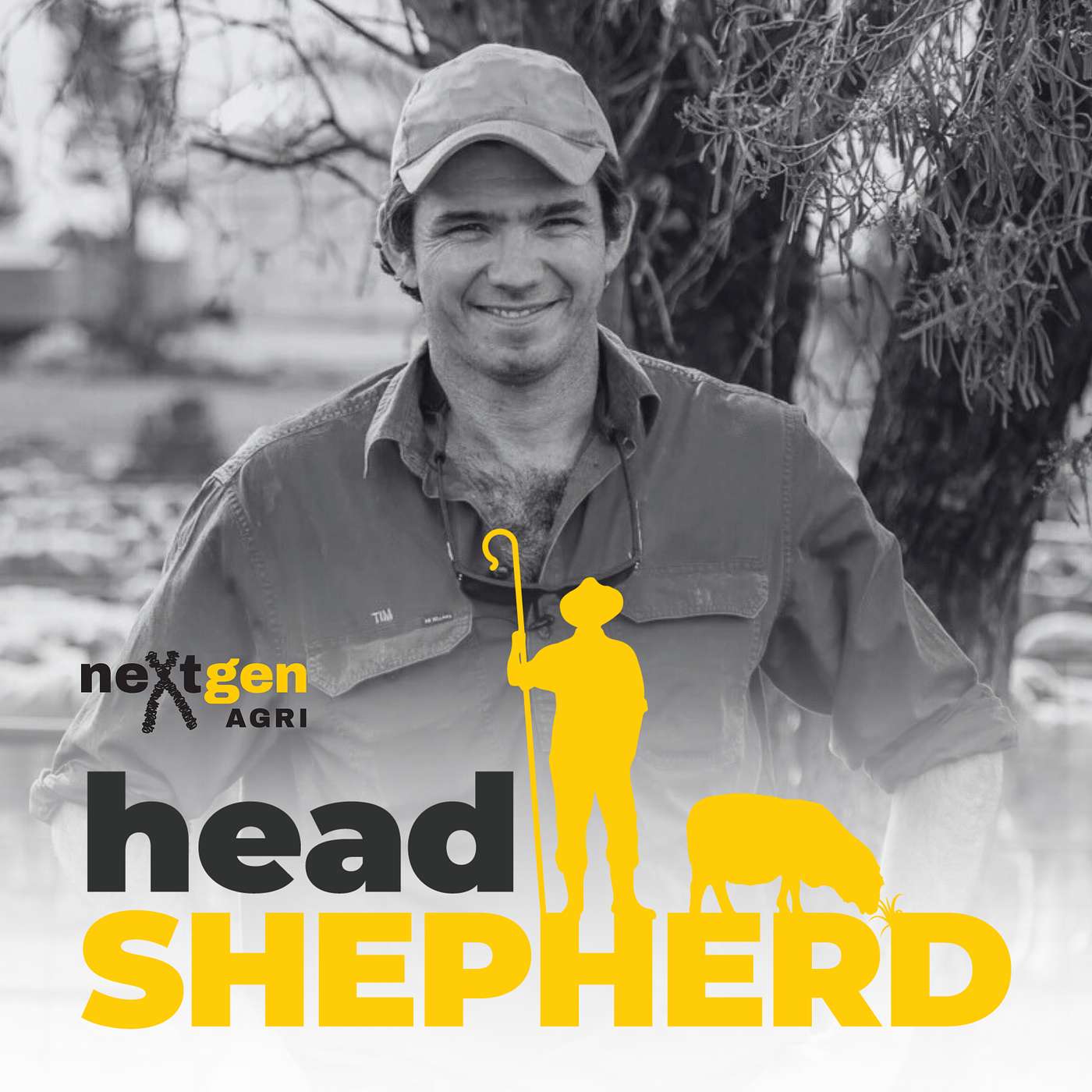 Proactive sheep management strategies with Tim Gole Proactive sheep management strategies with Tim Gole