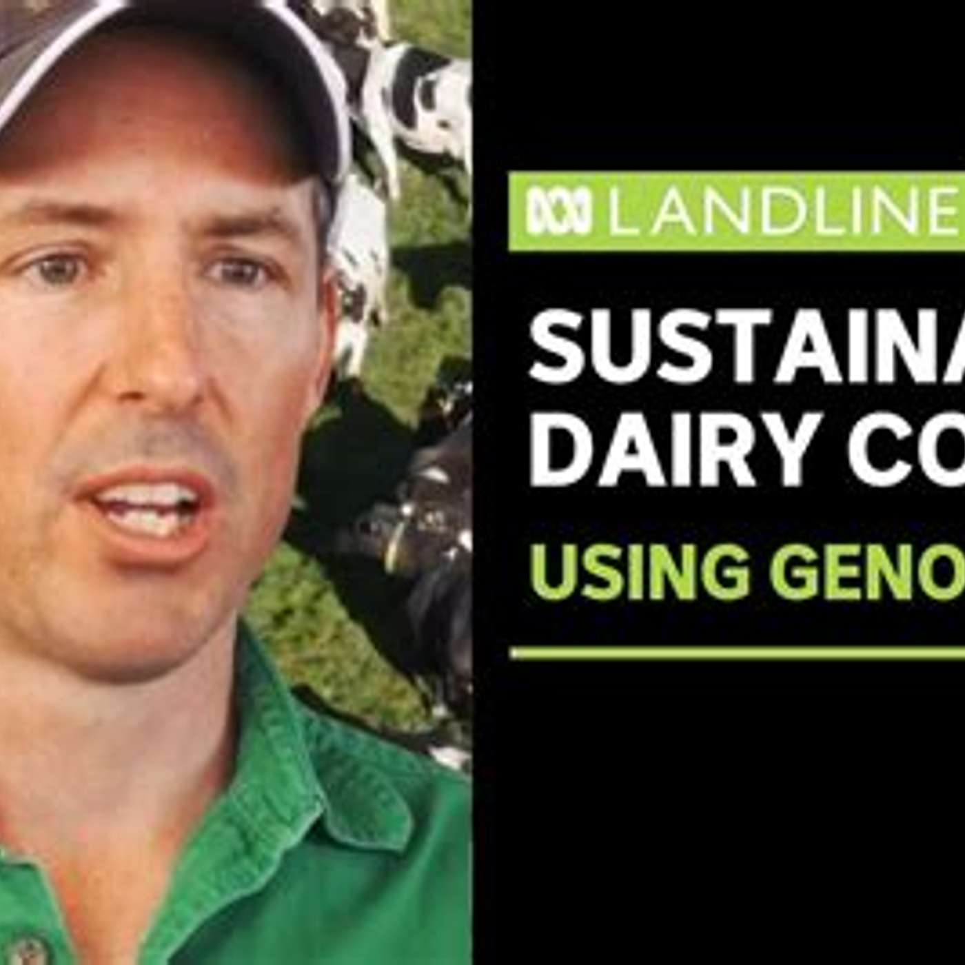 Sustainable Cows episode artwork