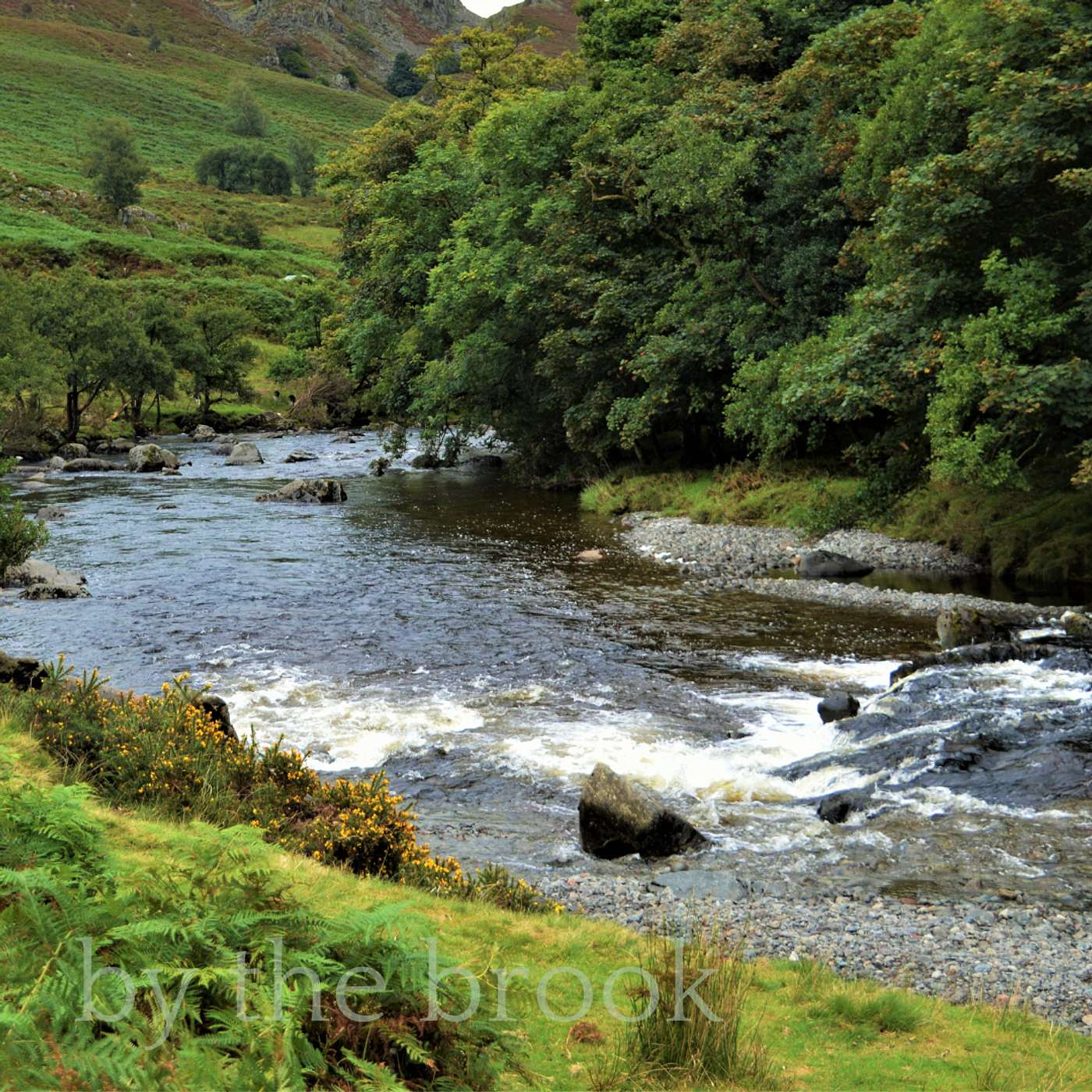 287. Nature's Sermon: Finding Peace by a Babbling Brook