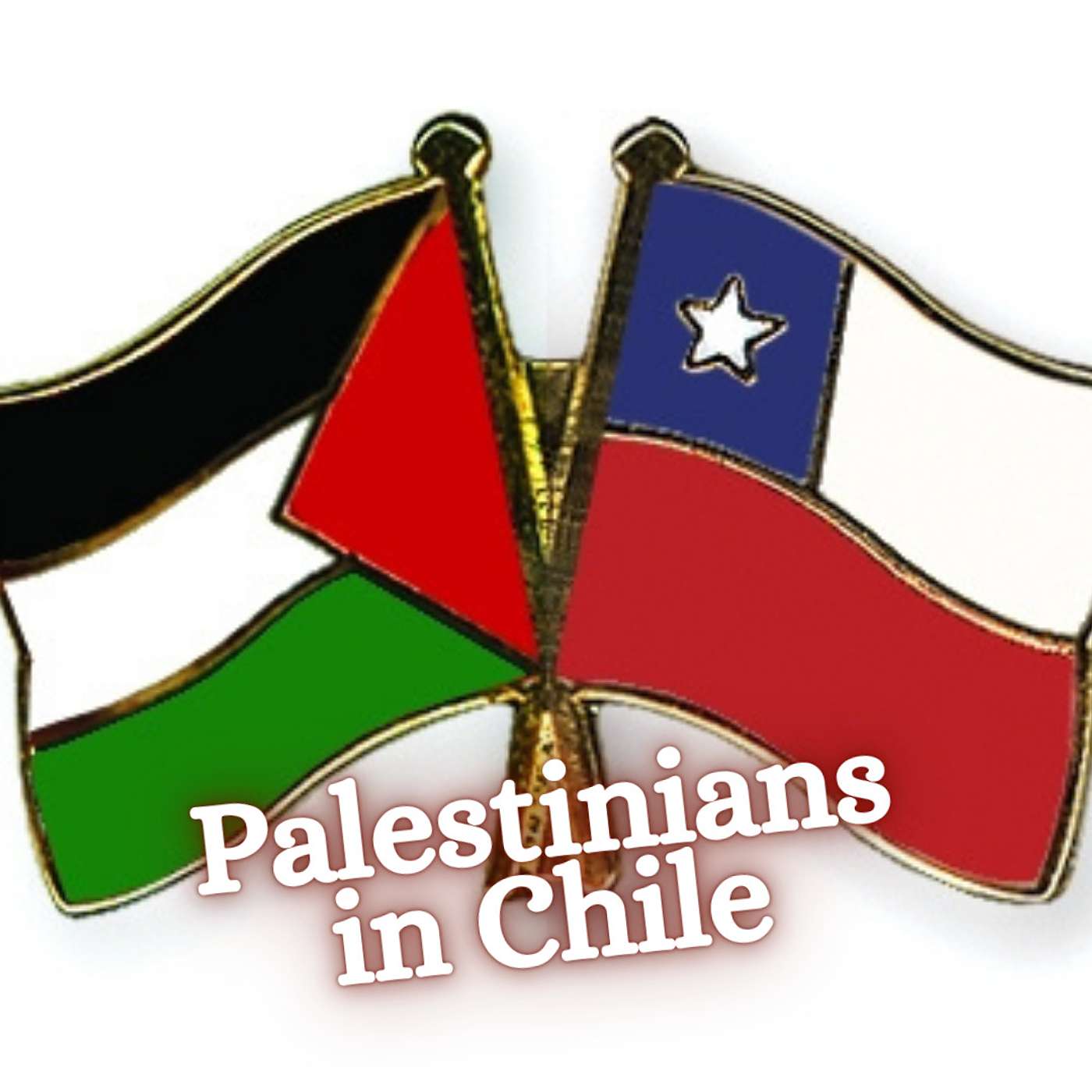 Stories from Palestine