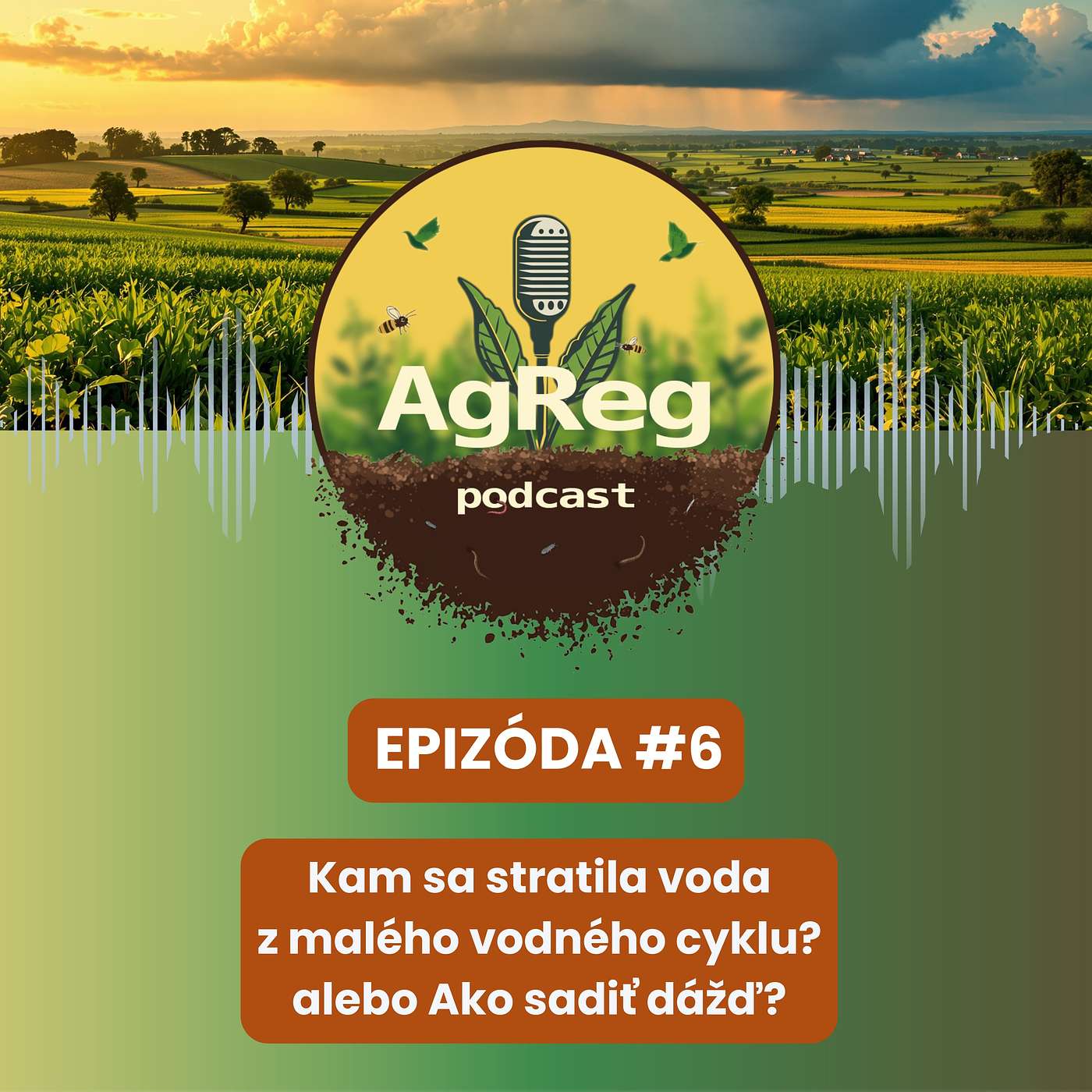 6. Kam sa stratila voda z malého vodného cyklu? alebo Ako sadiť dážď? 6. Kam sa stratila voda z malého vodného cyklu? alebo Ako sadiť dážď?