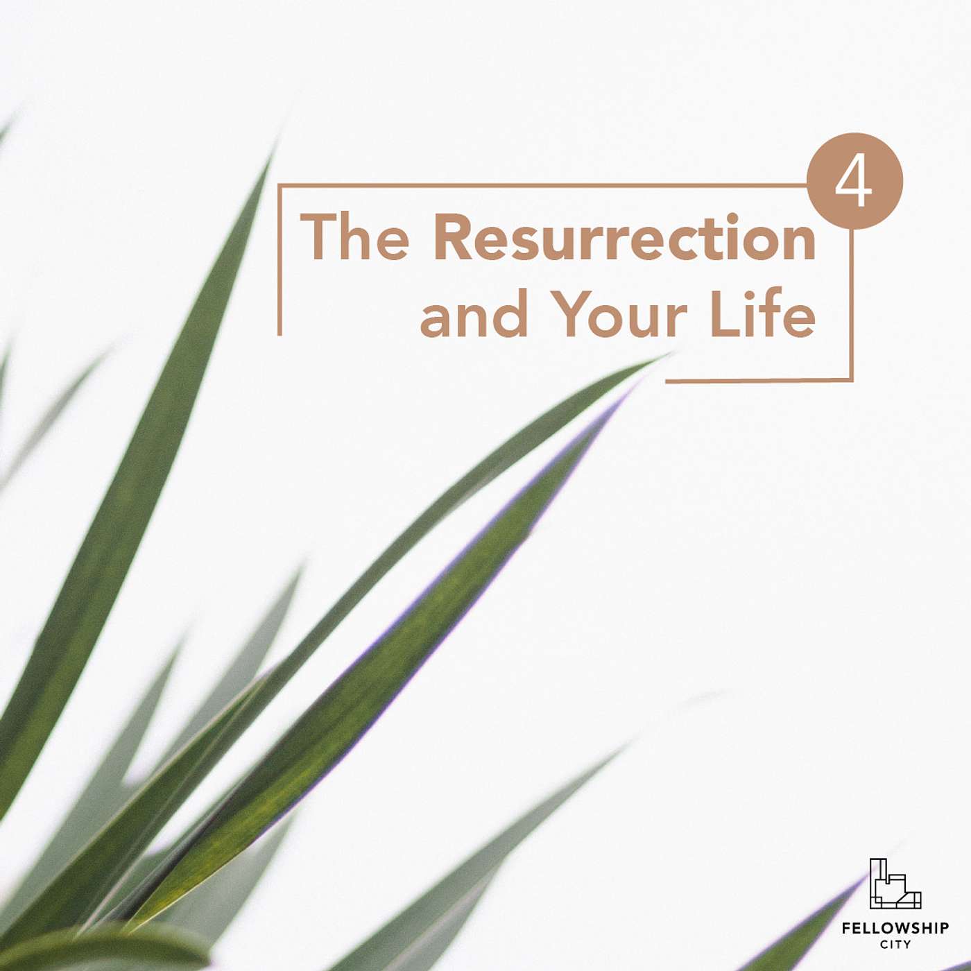 TRYL: Our Resurrection Bodies episode artwork