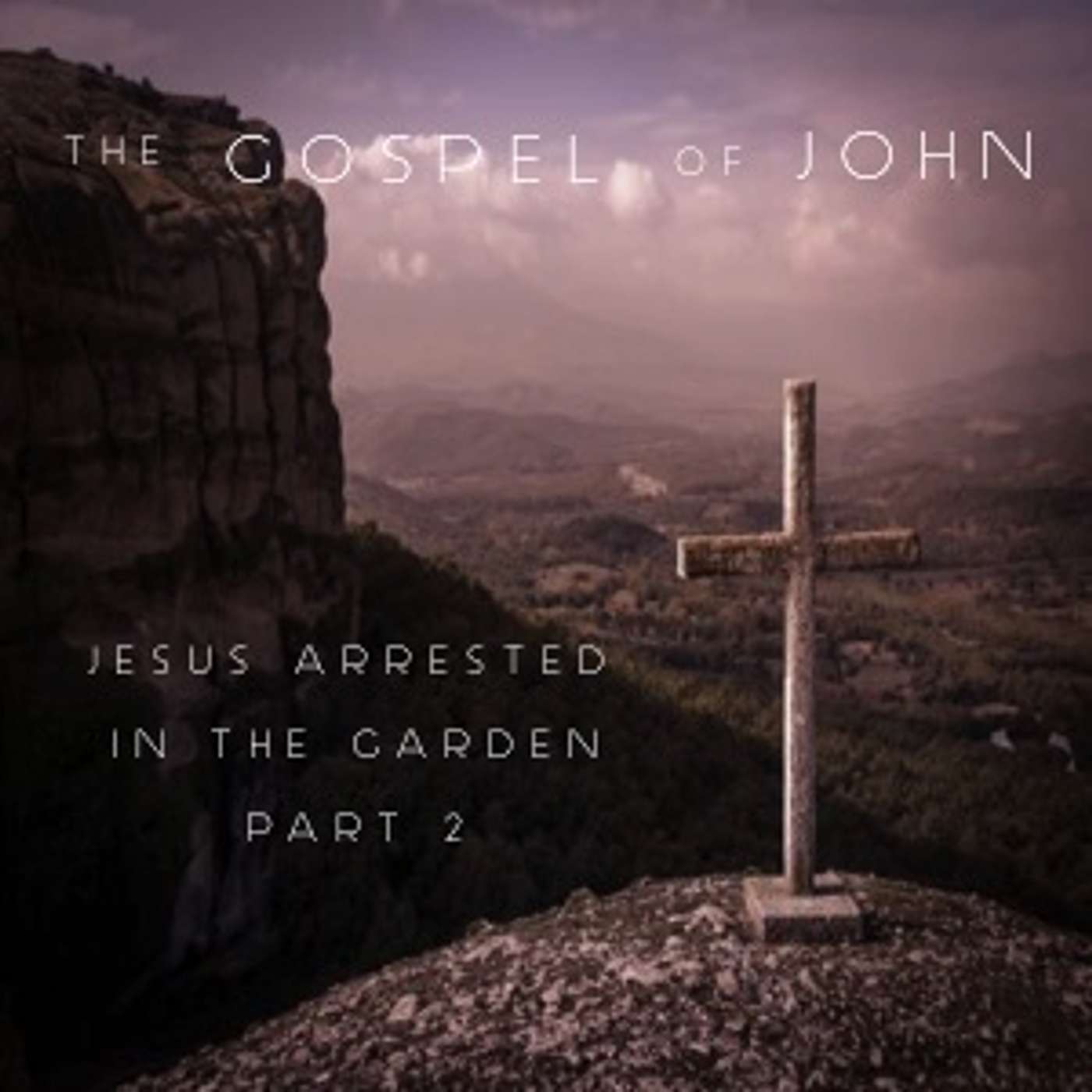 The Gospel Of John (18:3-9) - Jesus Arrested In The Garden Part 2 episode artwork