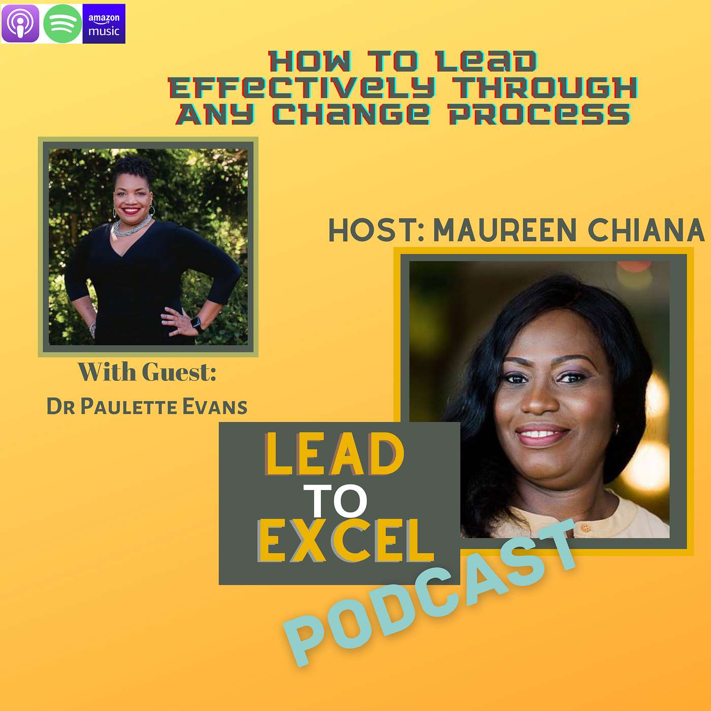 How To Lead Effectively Through Any Change Process with Dr Paulette Evans - E56 episode artwork