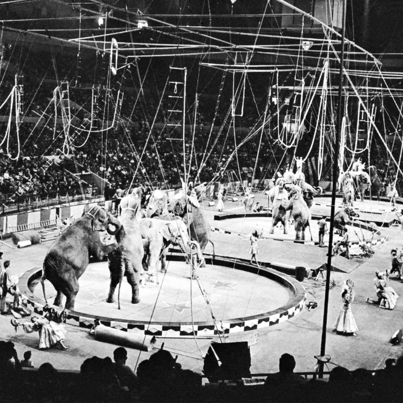 Historical Murders: Murder at the Circus