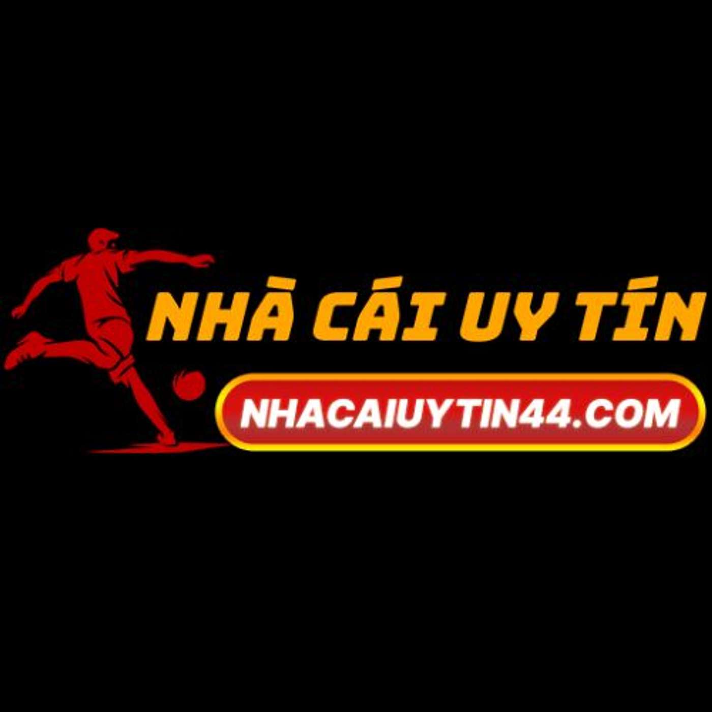 Leonardo\'s Fight Club