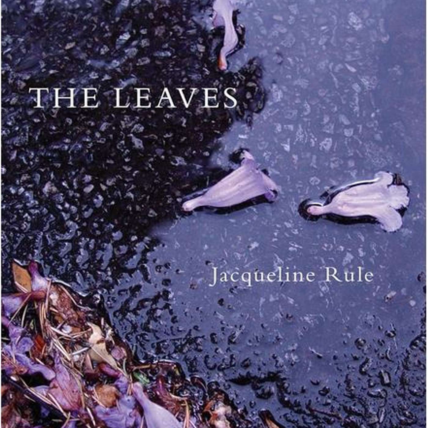 The Leaves, Author Jacqueline Rule