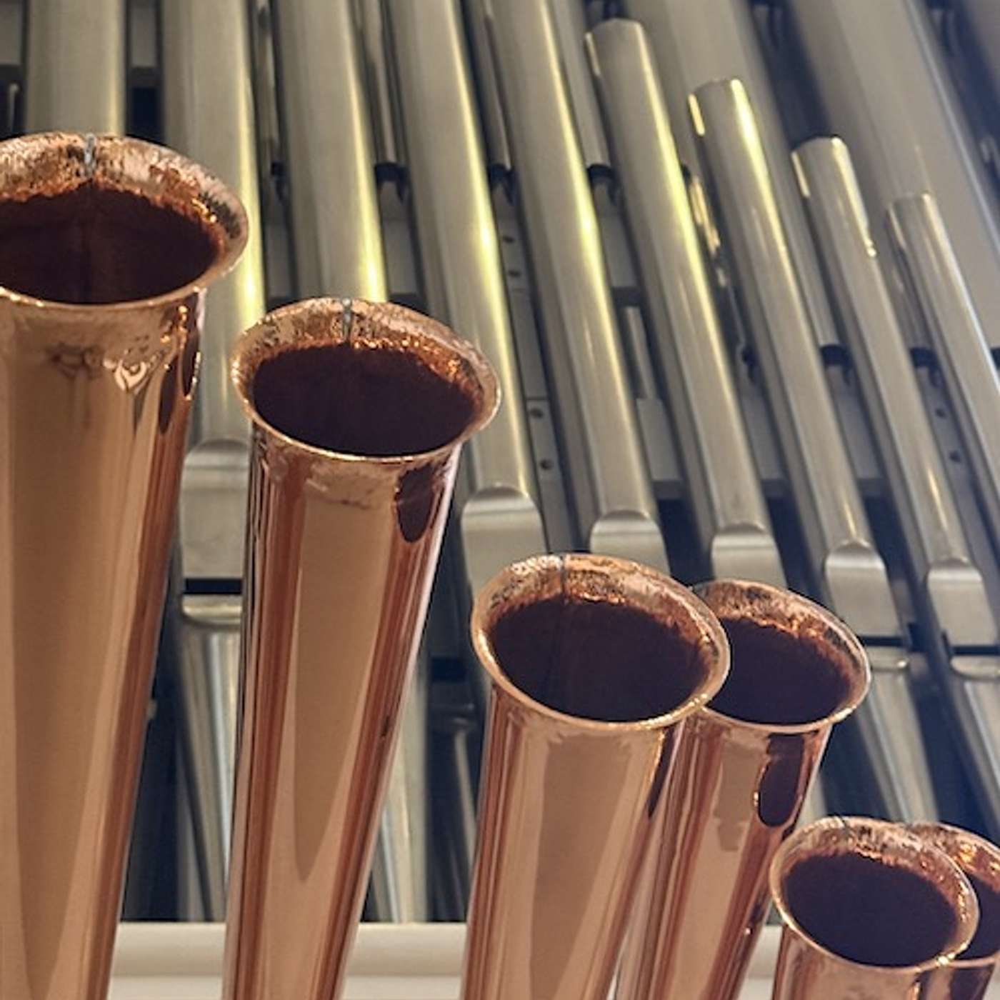 Westminster Talking the Text