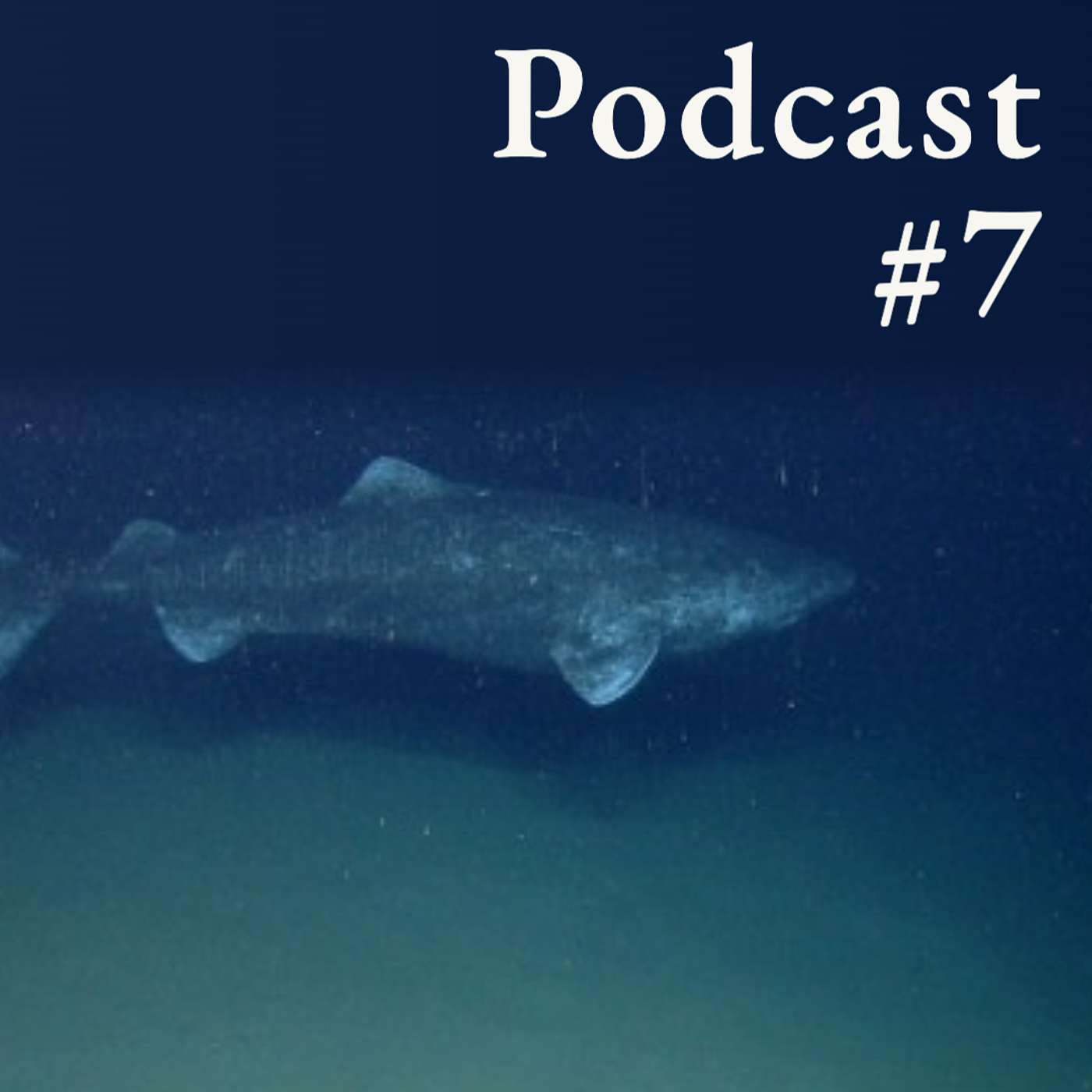 Life at the Edges of Shifting Rhythms | Shezad Dawood and Mark Nutall