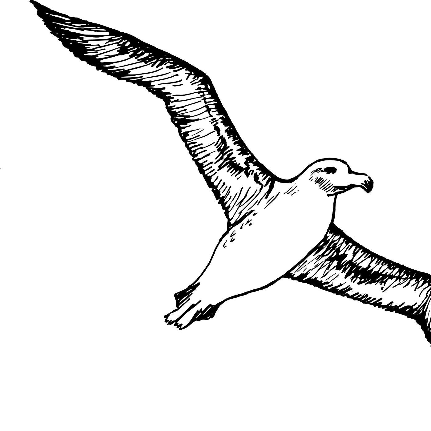 Allow those with great fears to live and let live... Albatross! Albatross!