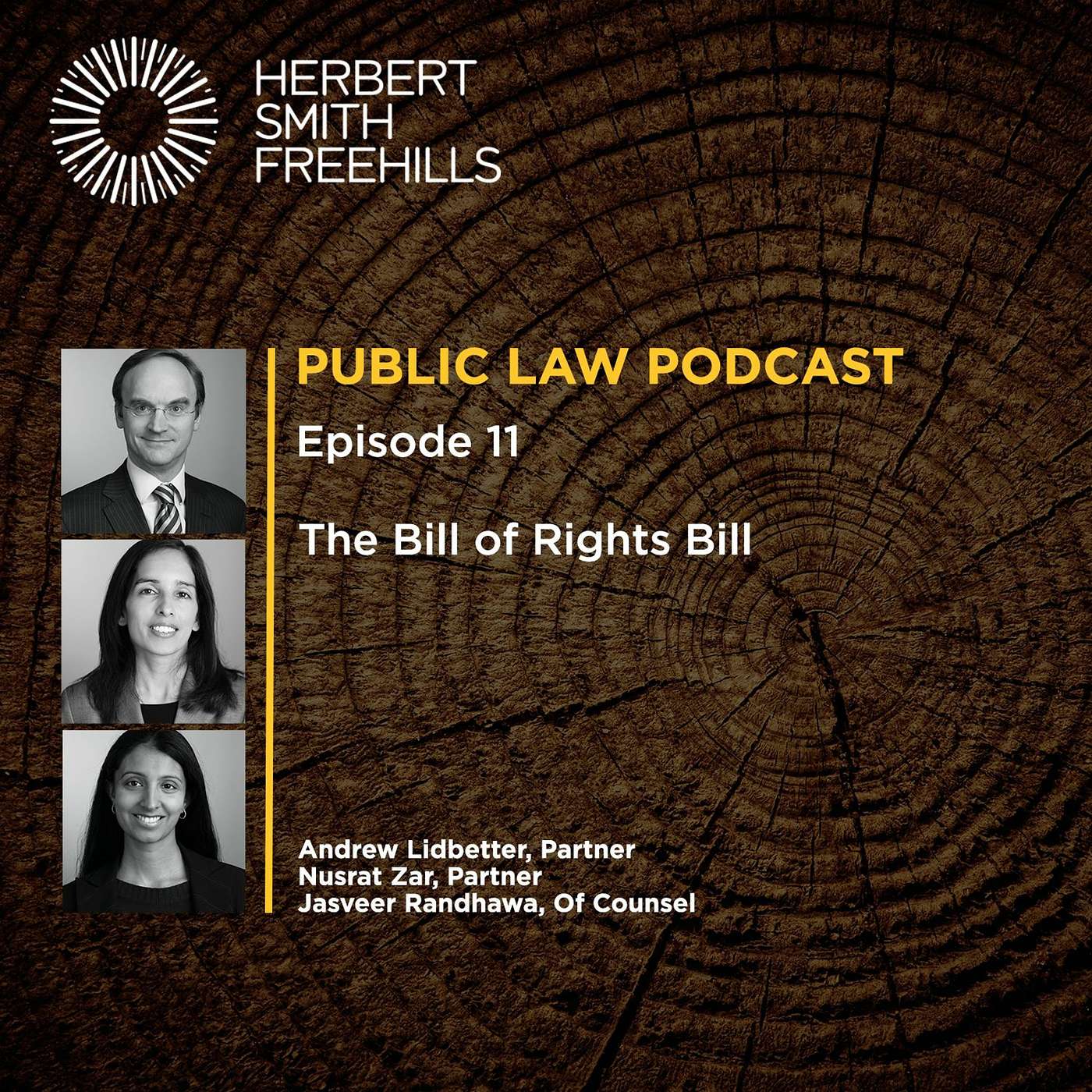 Public Law Podcast EP11: The Bill of Rights Bill episode artwork