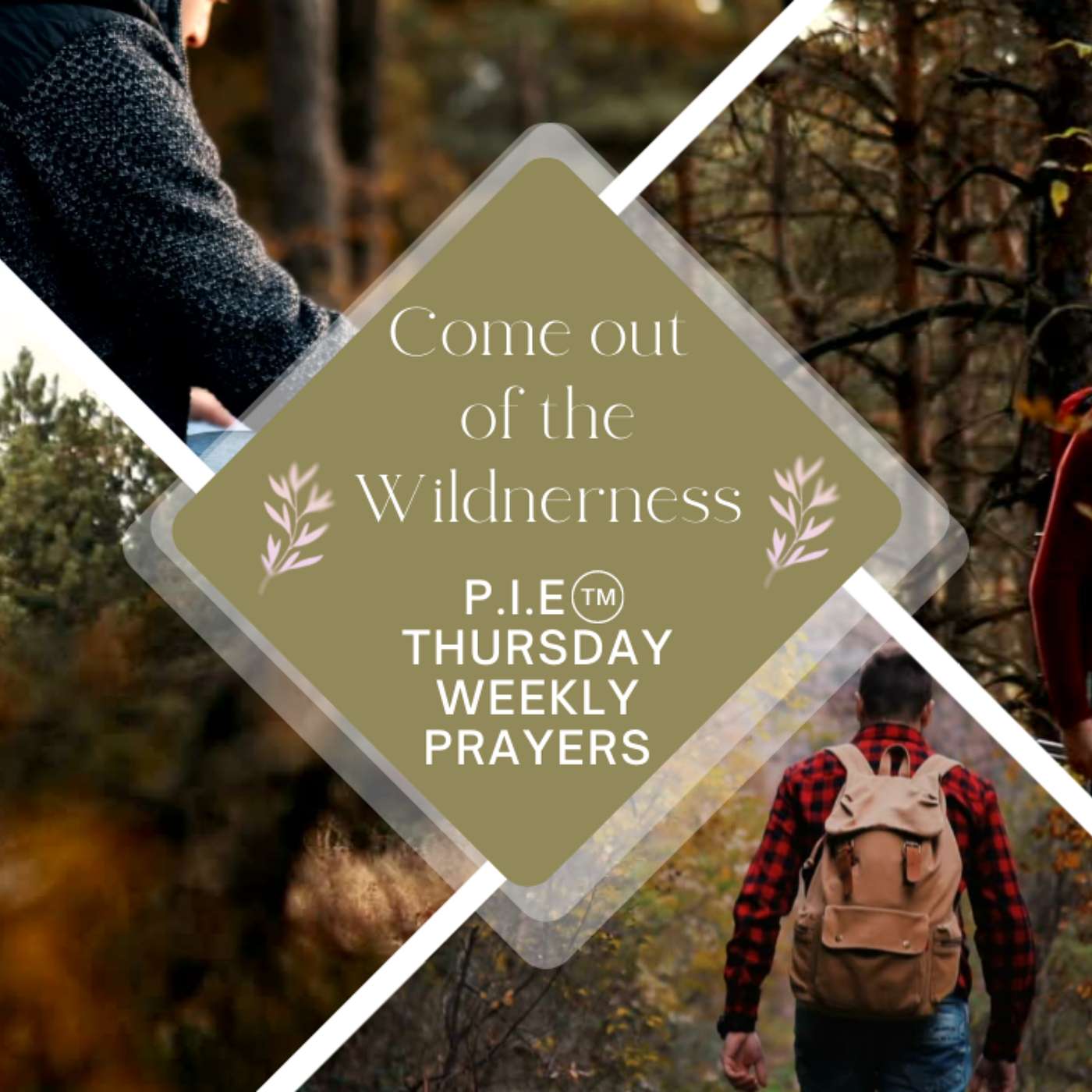 Come Out of The Wilderness: P.I.E ™ Thursday Prayer: How do you #witness as a believer? episode artwork