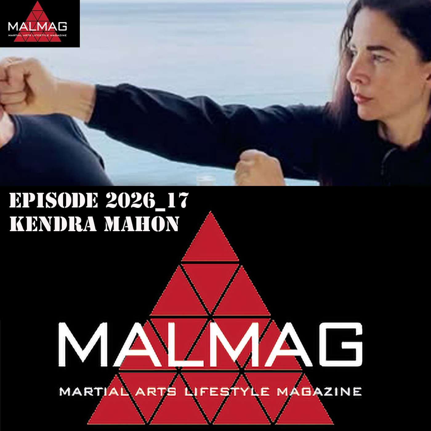 The Martial Arts Lifestyle Podcast