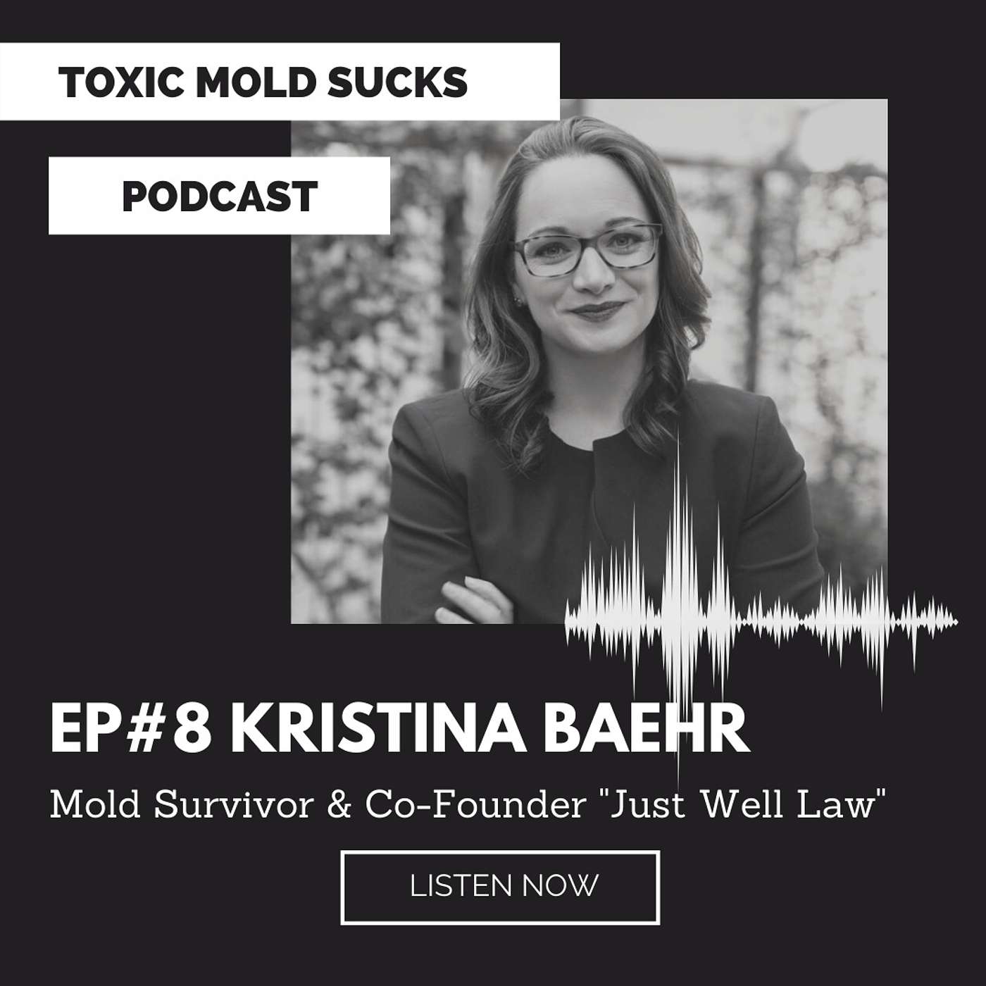 Episode #8 Kristina Baehr - Cofounder of Just Well Law turns their Mold nightmare into a New Purpose