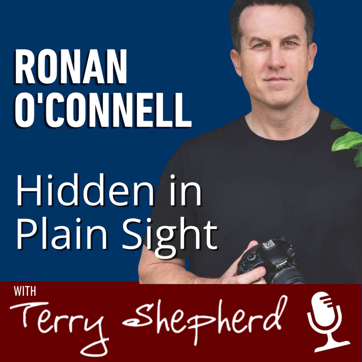 Ronan O’Connell – Hidden In Plain Sight