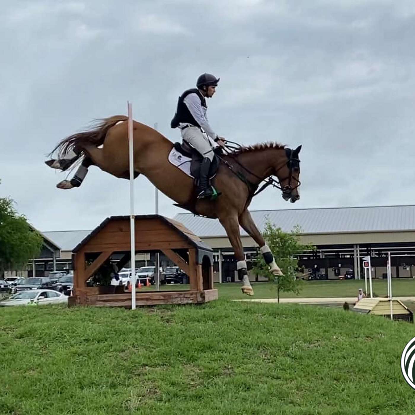 Michael Nolan - Irish Advanced Eventer