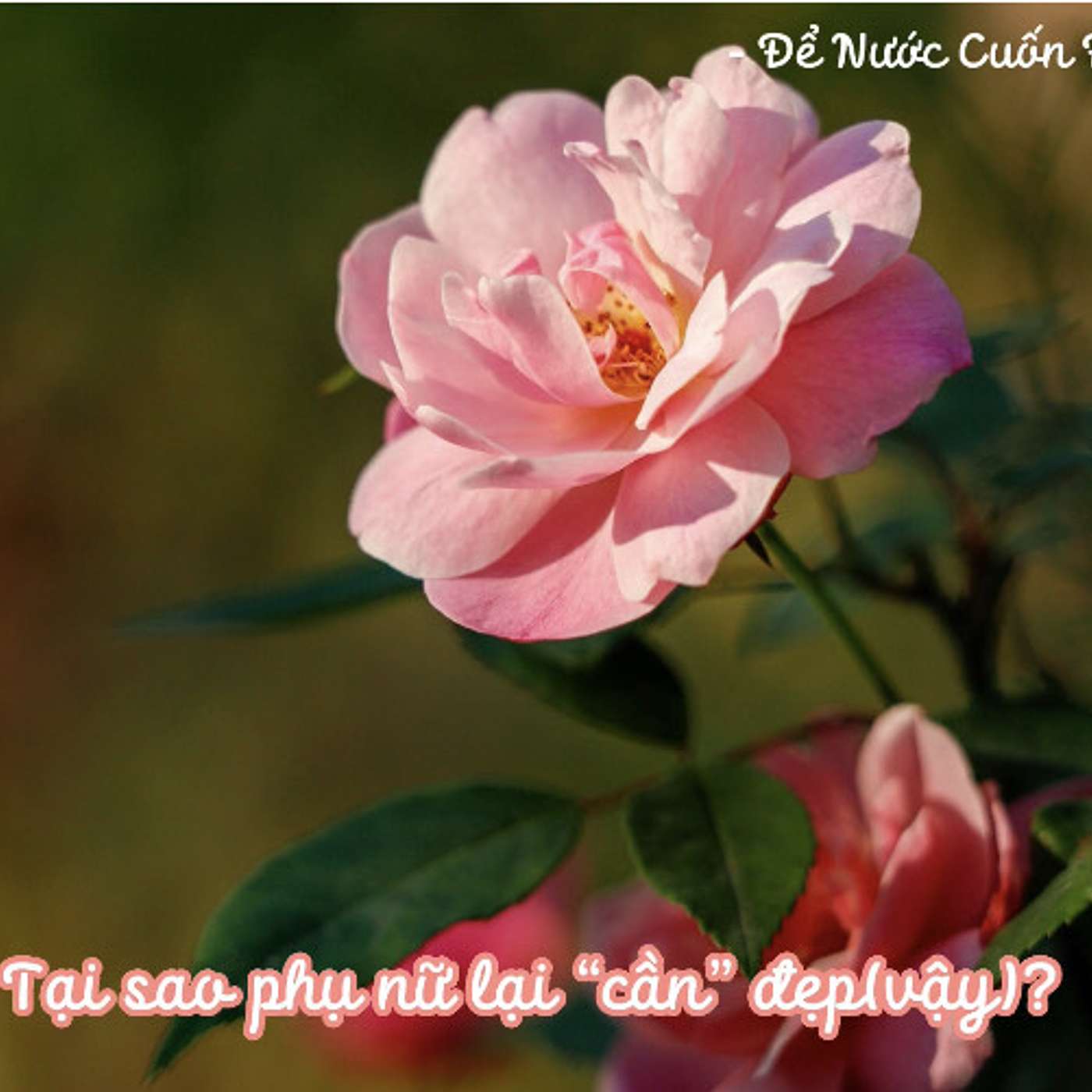 LÀM THẾ NÀO ĐỂ PHỤ NỮ BÌNH AN, KHỎE MẠNH VÀ HẠNH PHÚC HƠN? #2 | TẠI SAO PHỤ NỮ LẠI "CẦN" ĐẸP(VẬY)?