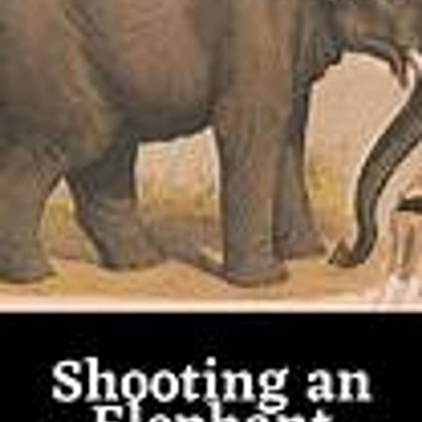 Shooting an Elephant Shooting an Elephant