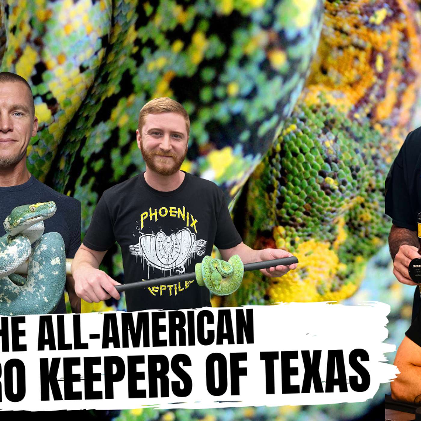 Texas Green Tree Python Breeder All-Stars | All In The Tree Tuesday Live