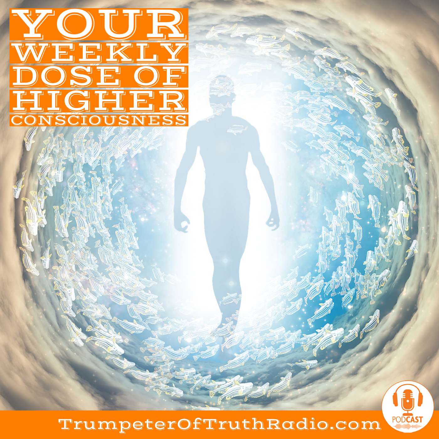 Soul Contracts-What the Heck Are They & Why Would We Make a Pre-Birth Plan?