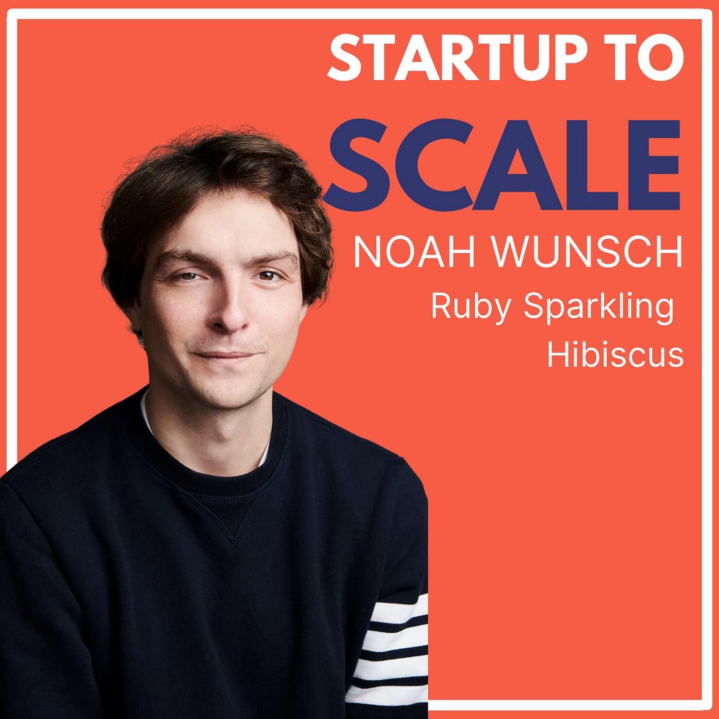 Startup To Scale